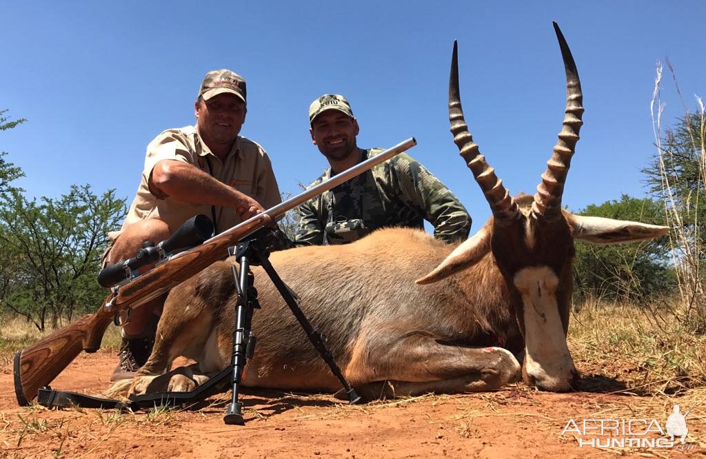 Hunting Blesbok South Africa