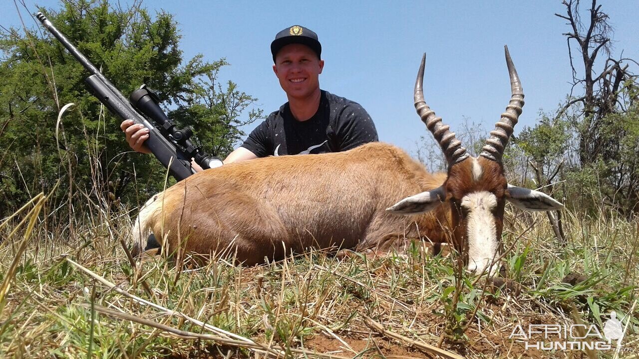 Hunting Blesbok South Africa