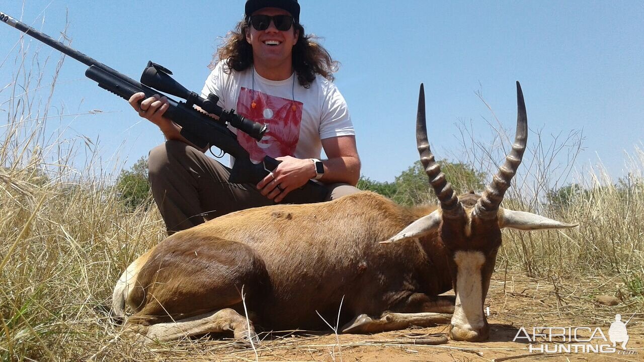 Hunting Blesbok South Africa