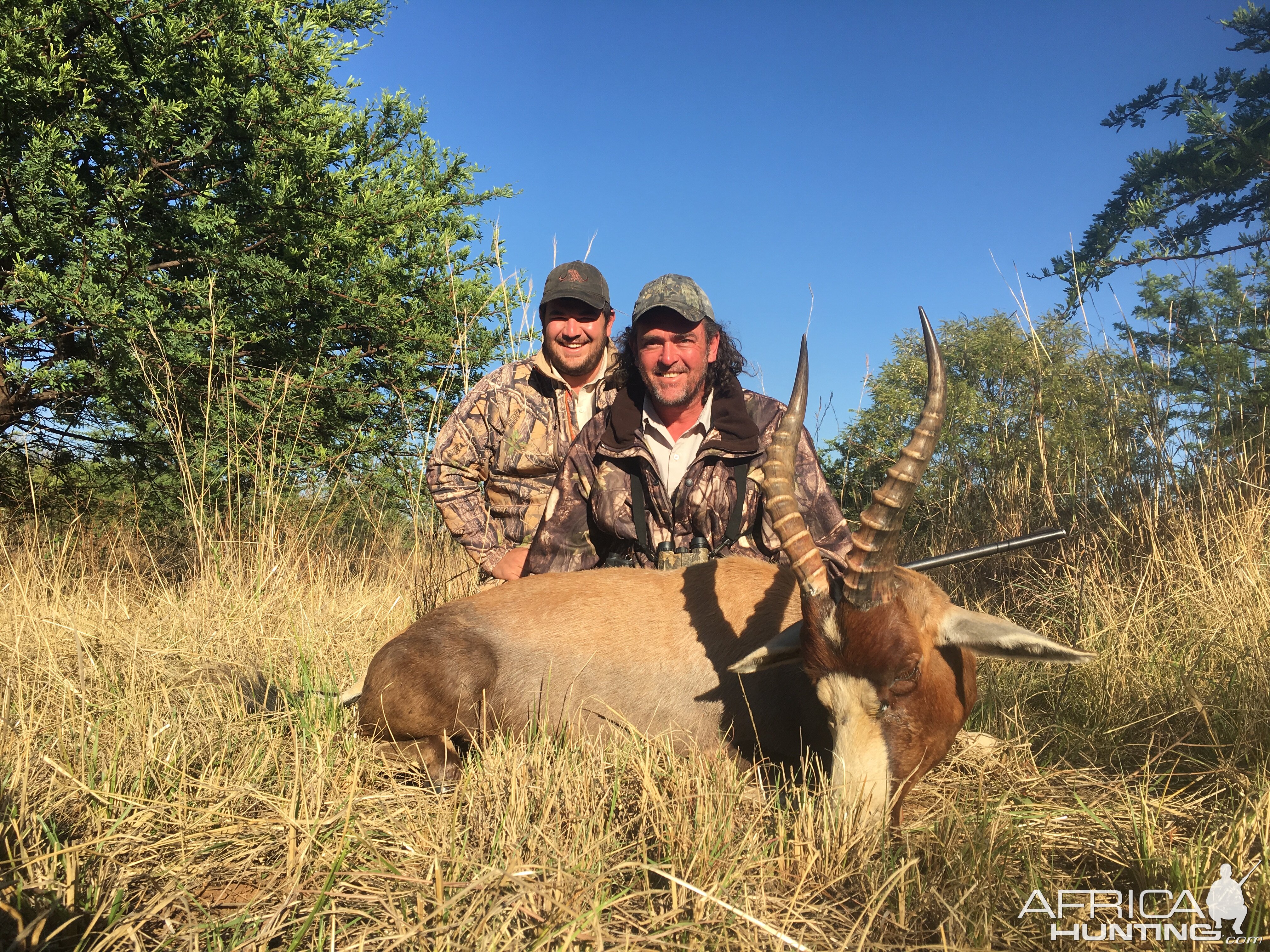 Hunting Blesbok South Africa