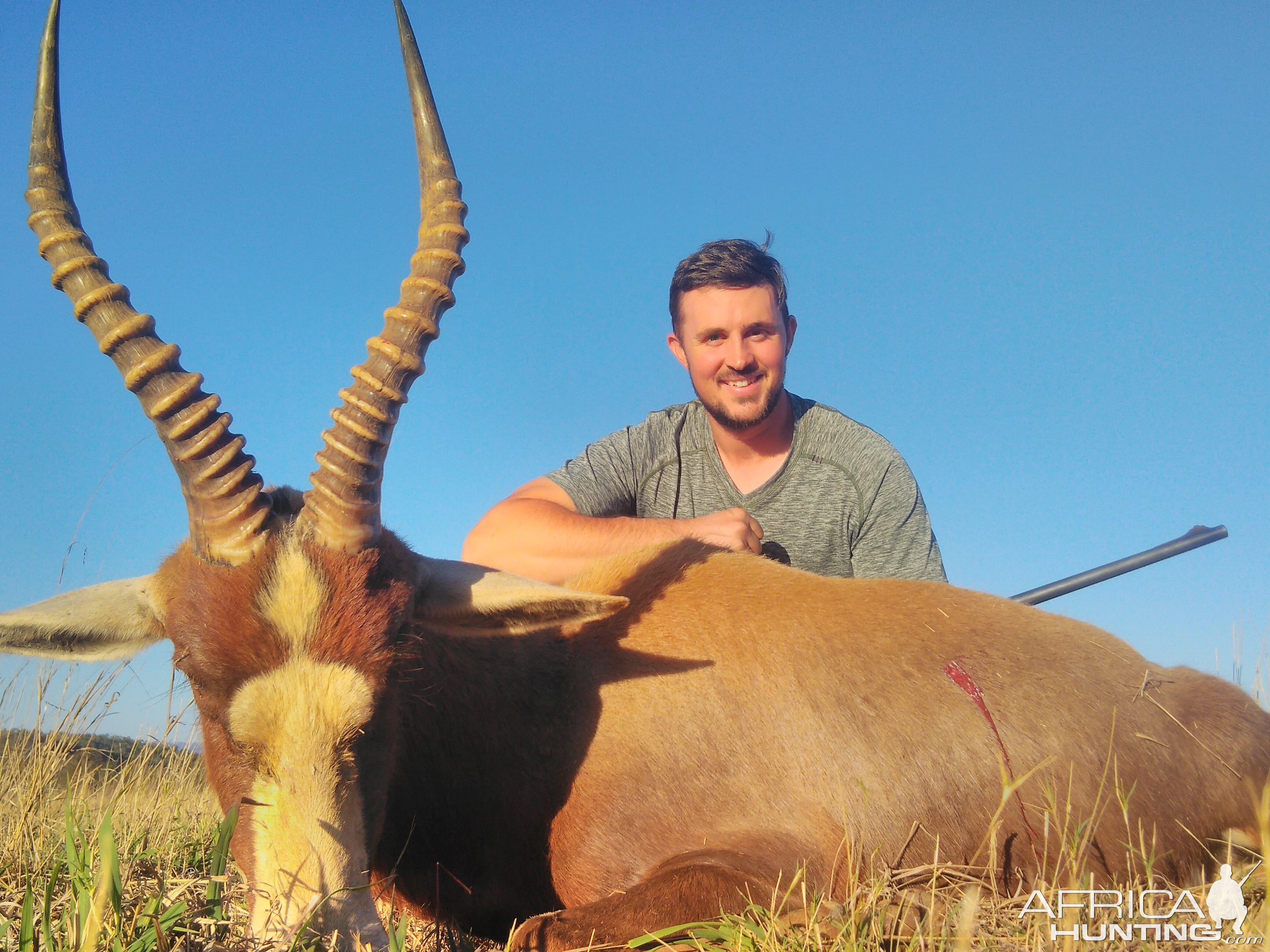 Hunting Blesbok South Africa