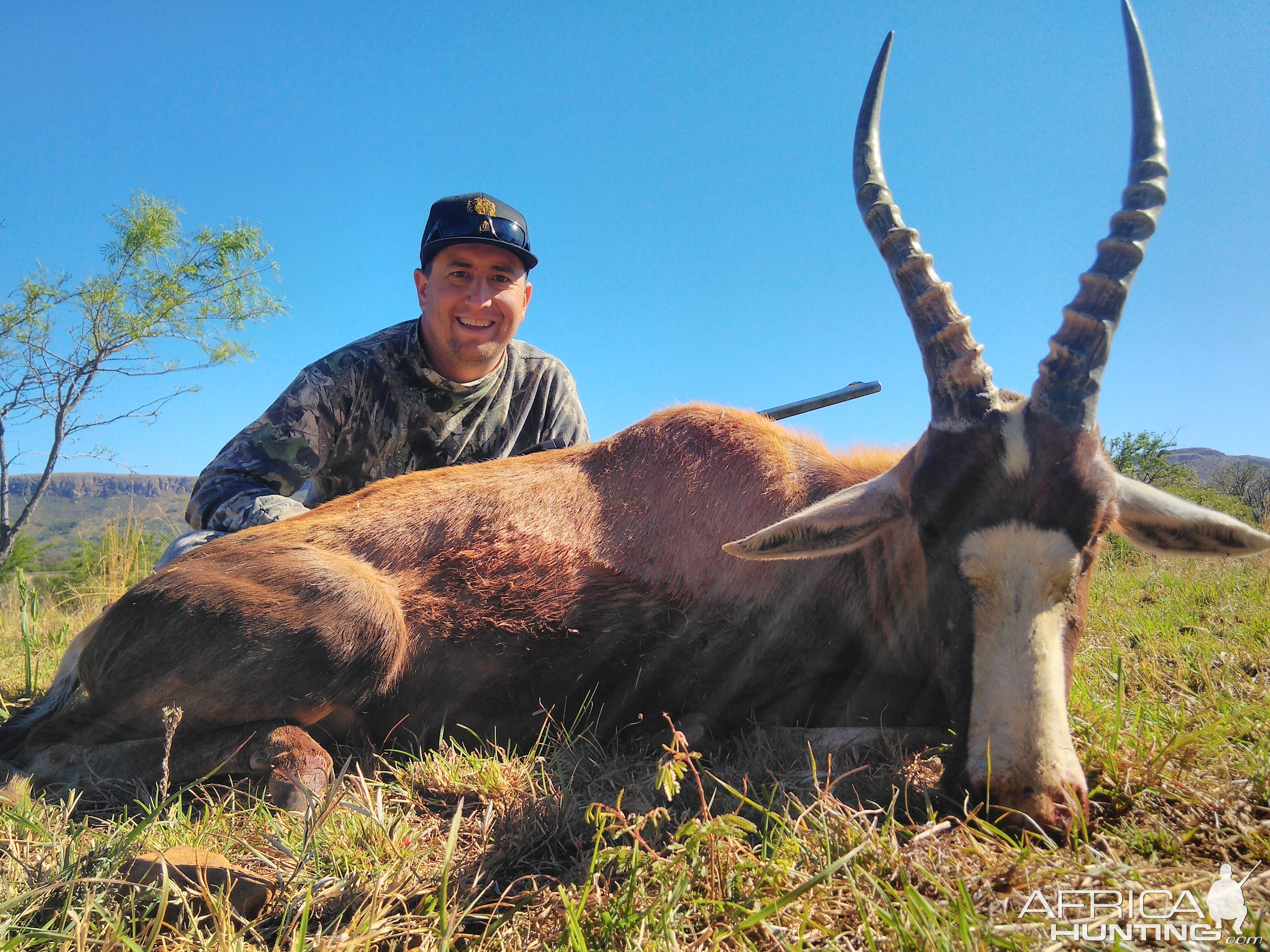 Hunting Blesbok South Africa