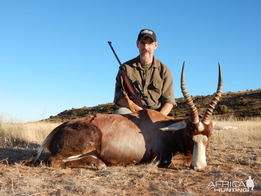 Hunting Blesbok South Africa