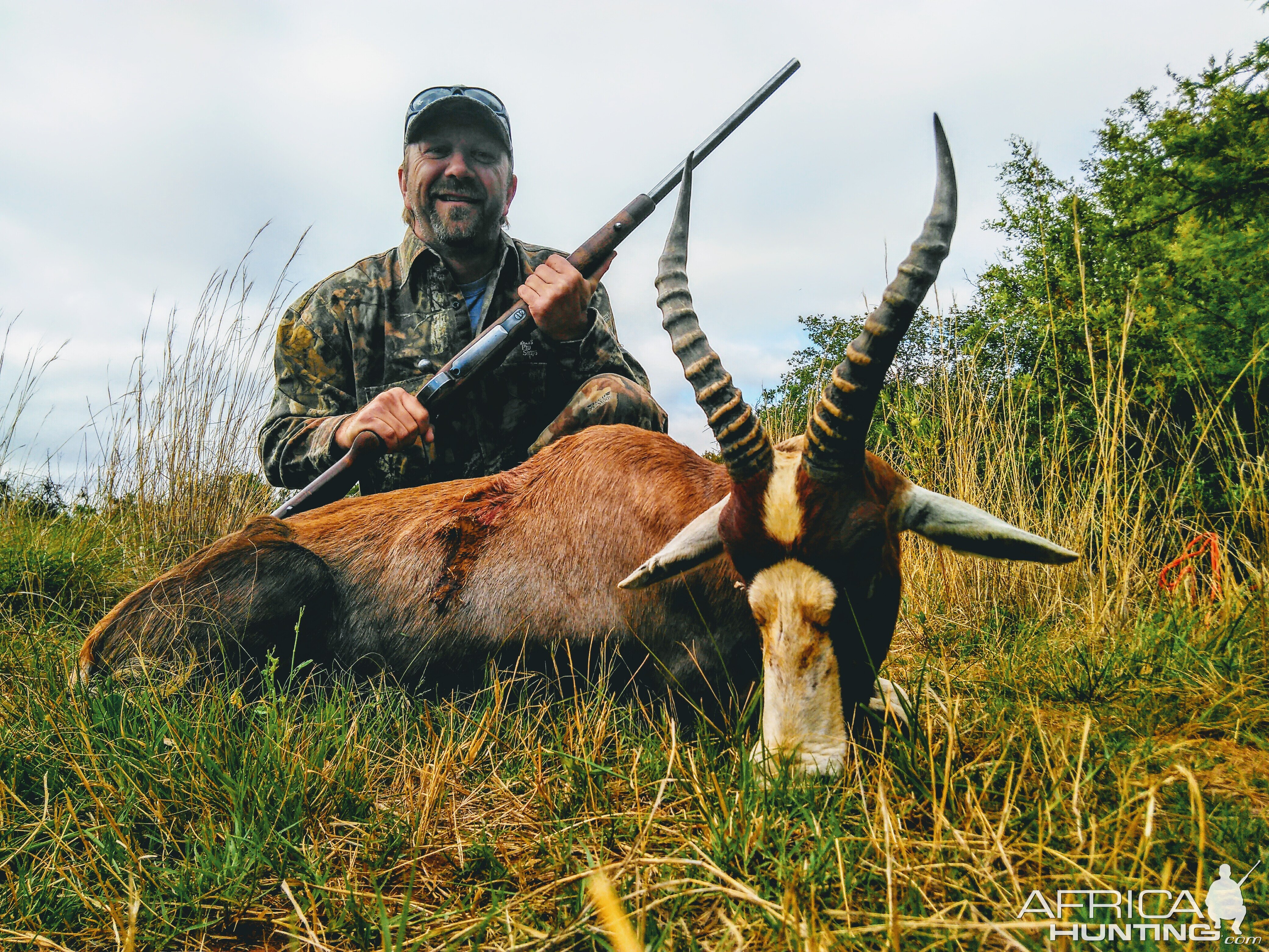 Hunting Blesbok South Africa