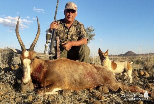 Hunting Blesbok South Africa