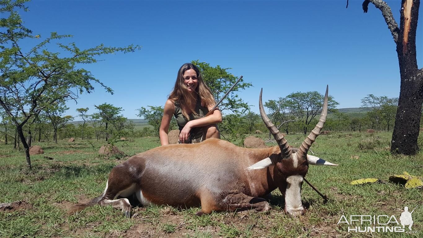 Hunting Blesbok South Africa