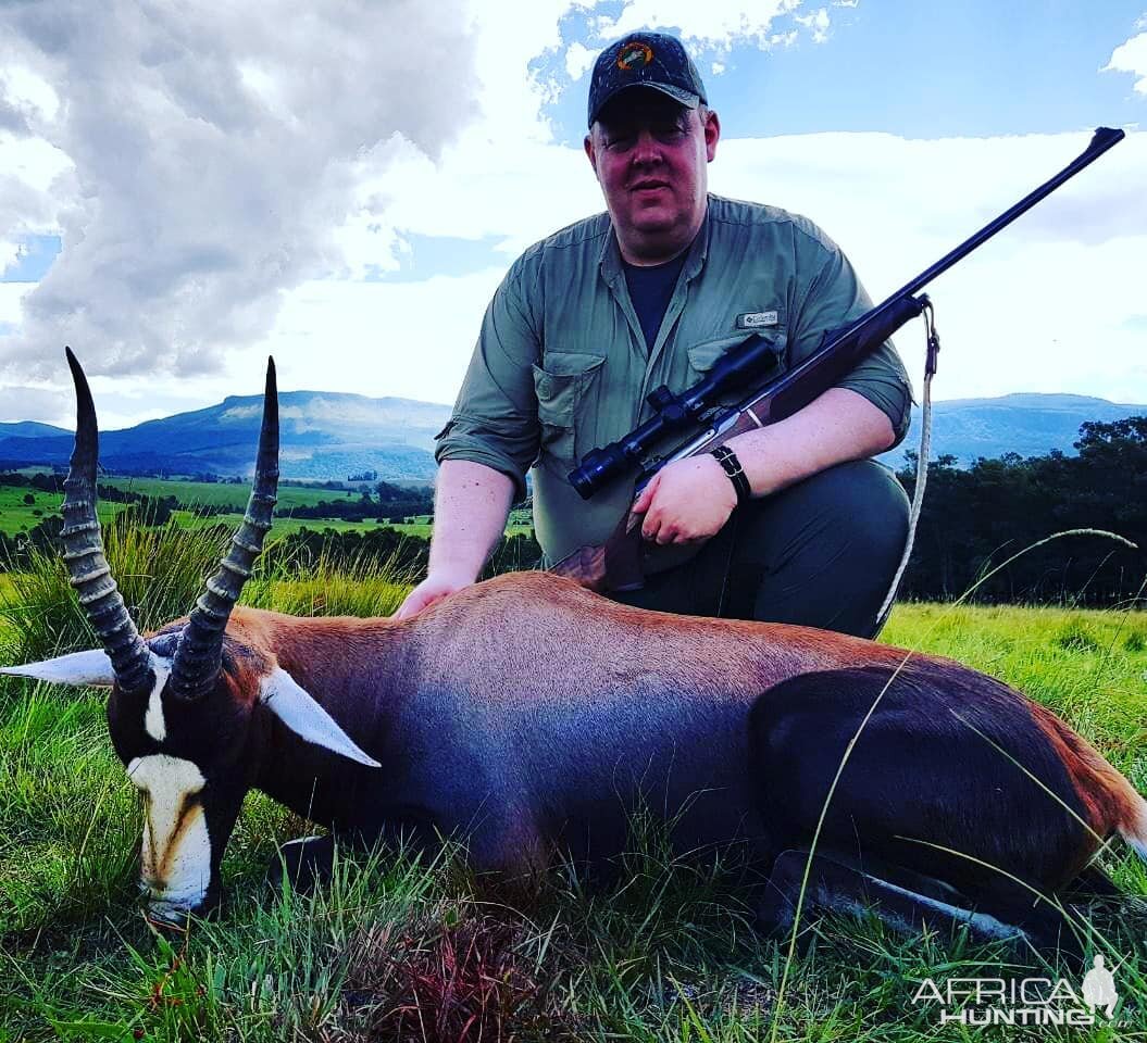 Hunting Blesbok South Africa