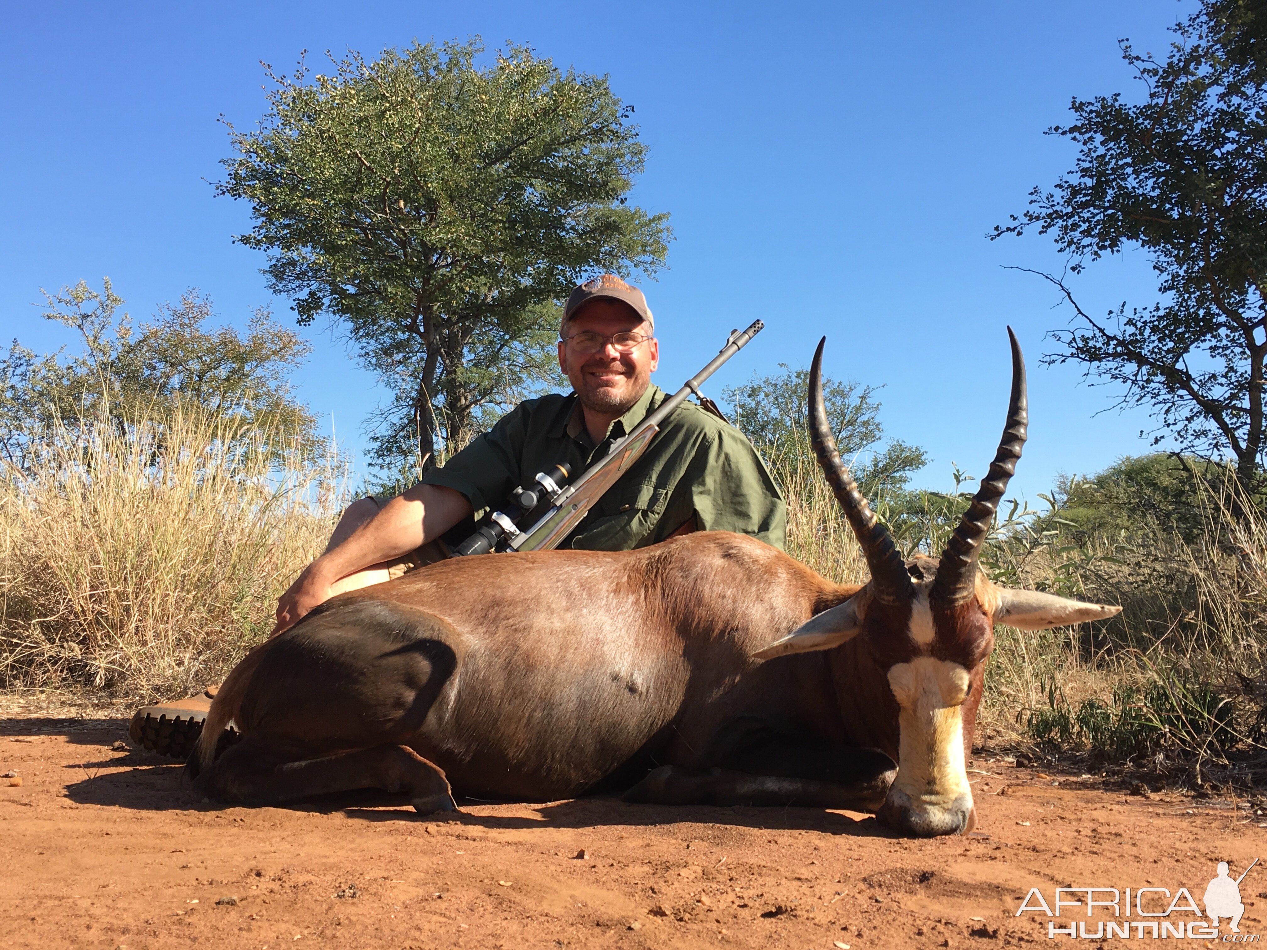 Hunting Blesbok South Africa