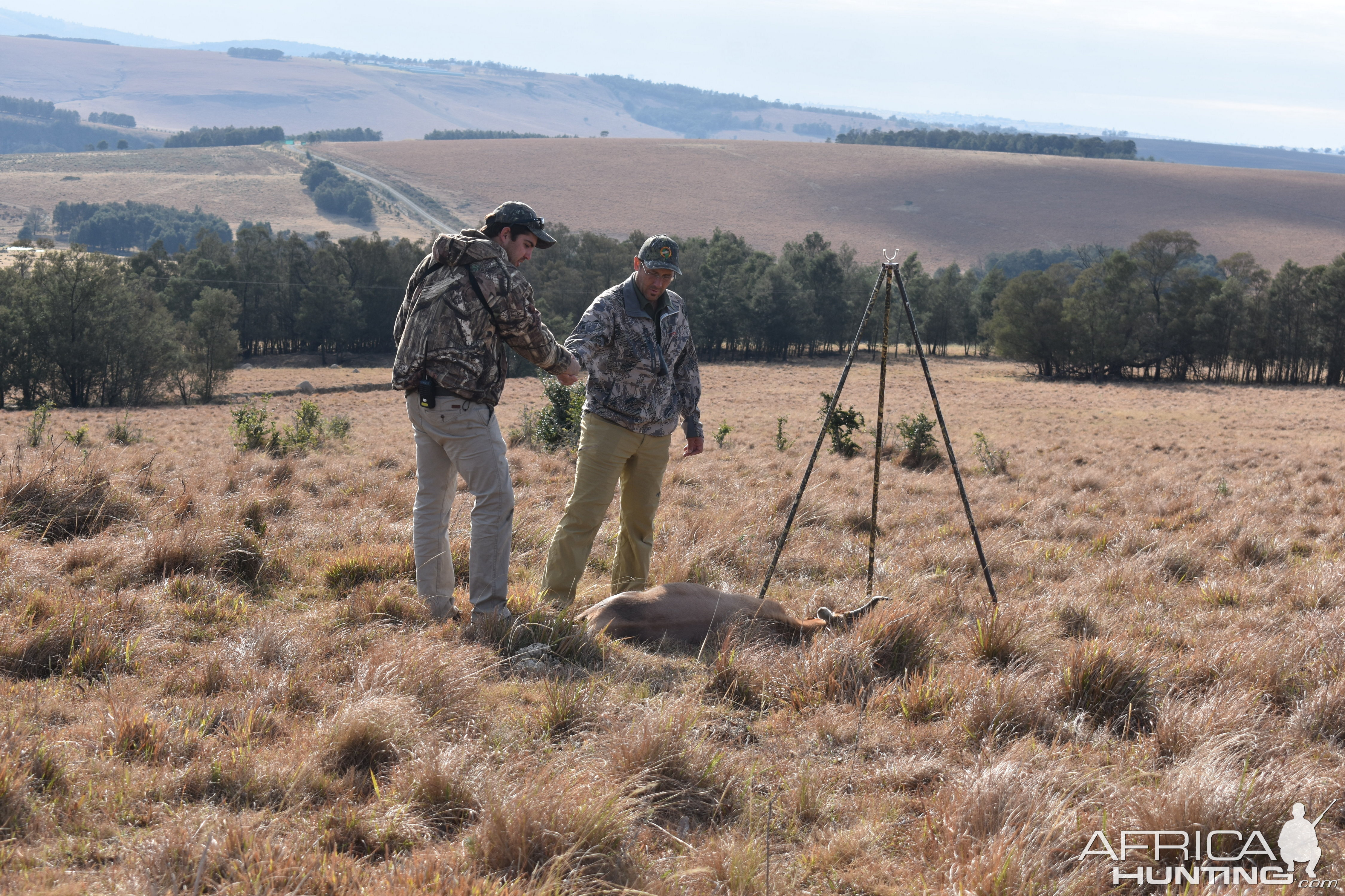 Hunting Blesbok South Africa