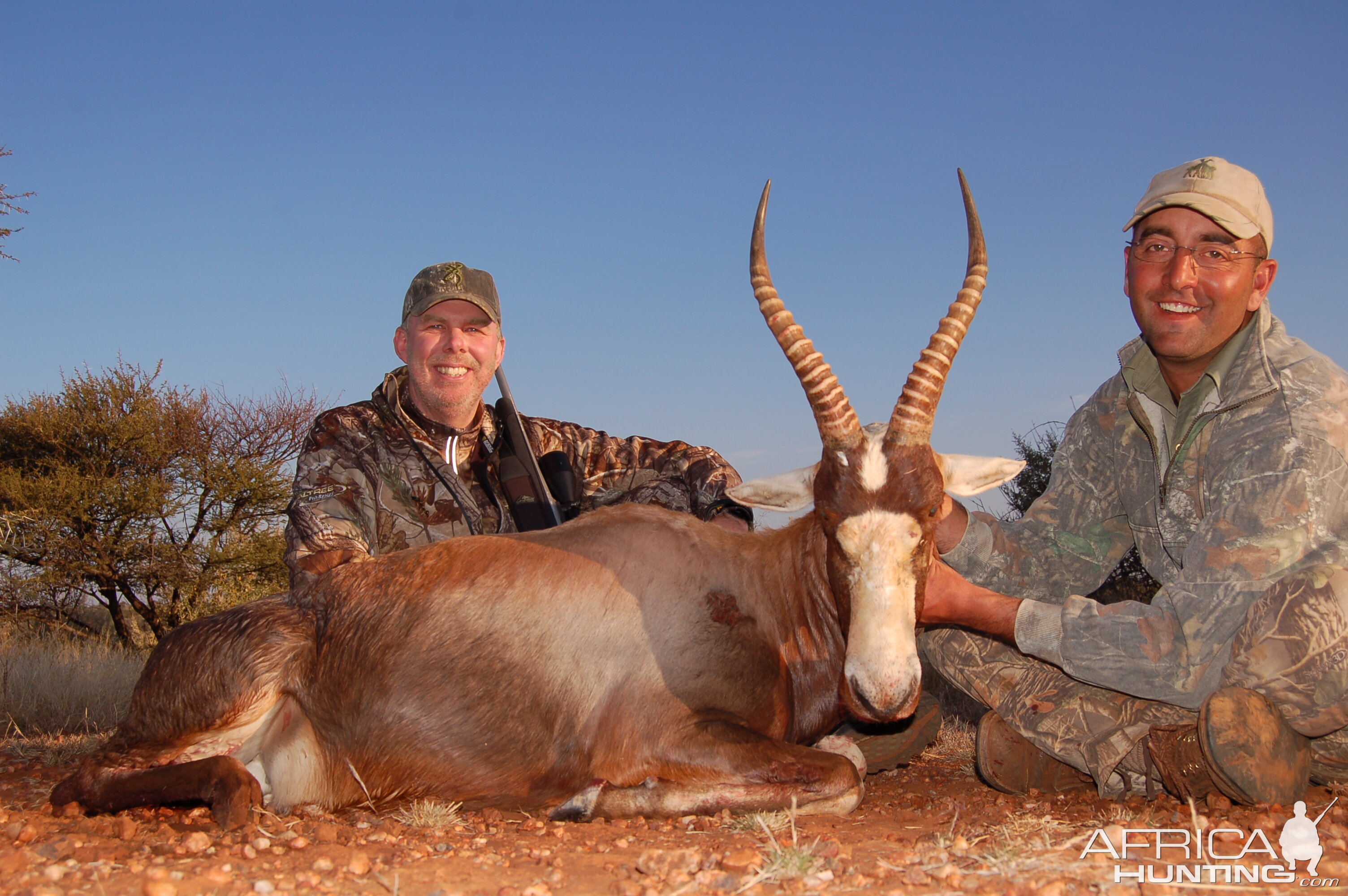 Hunting Blesbok with Wintershoek Johnny Vivier Safaris in SA