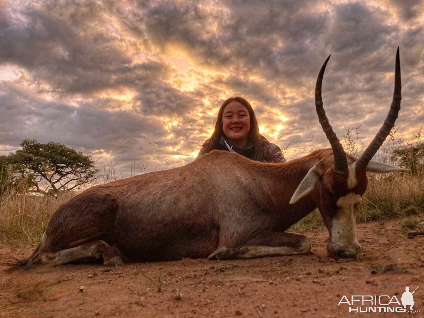 Hunting Blesbok