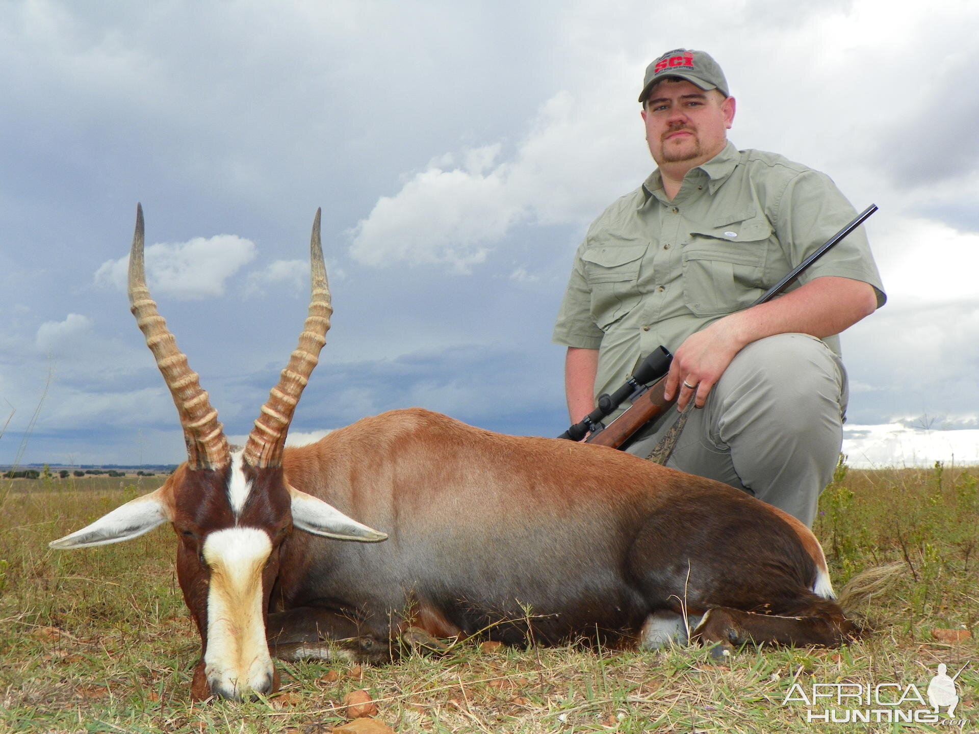 Hunting Blesbok