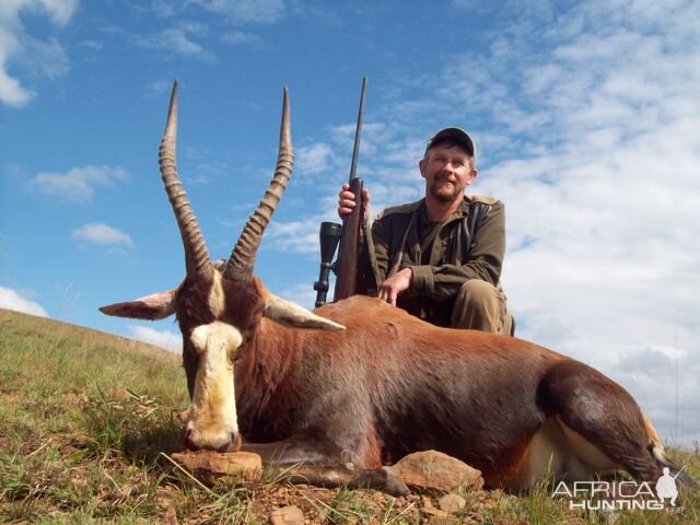 Hunting Blesbok