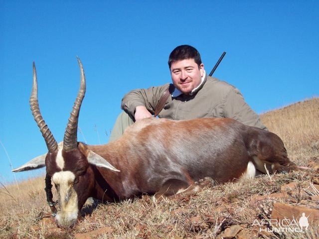 Hunting Blesbok