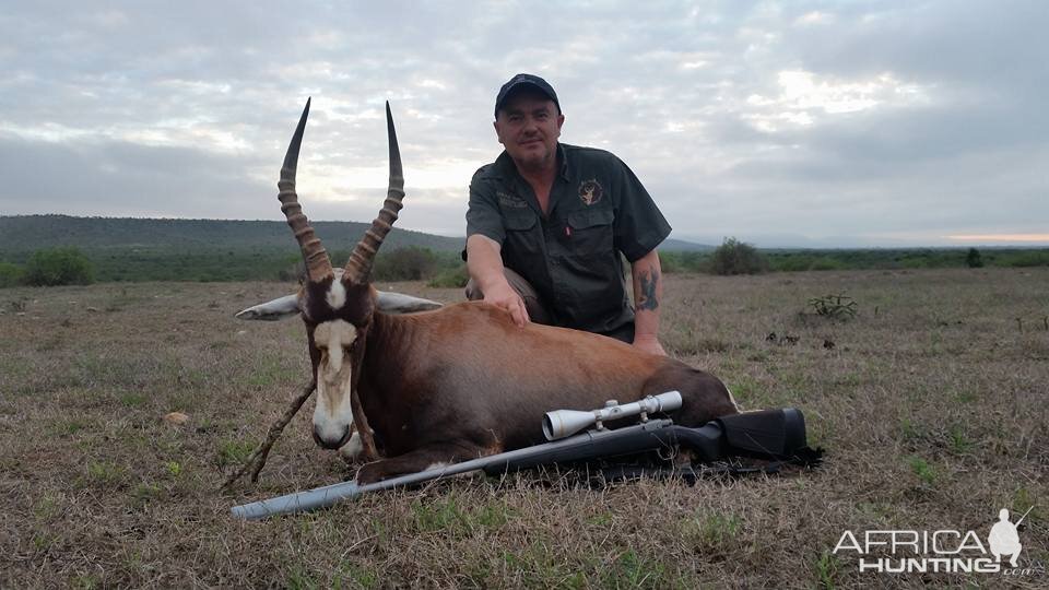 Hunting Blesbuck South Africa