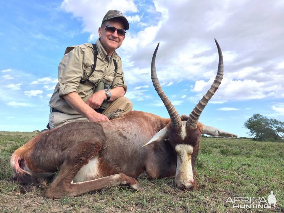 Hunting Blesbuck South Africa