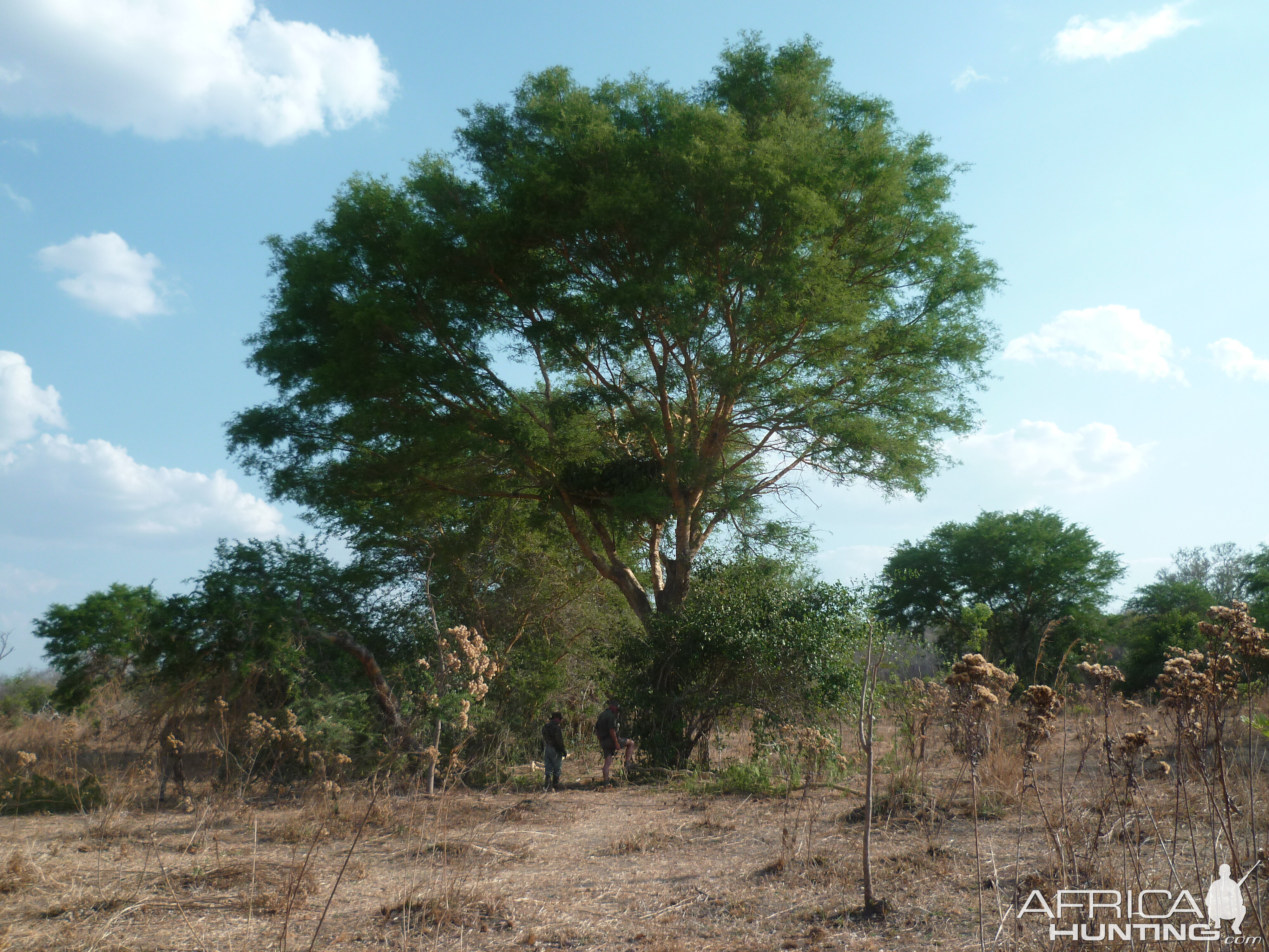 Hunting blind in Tanzania