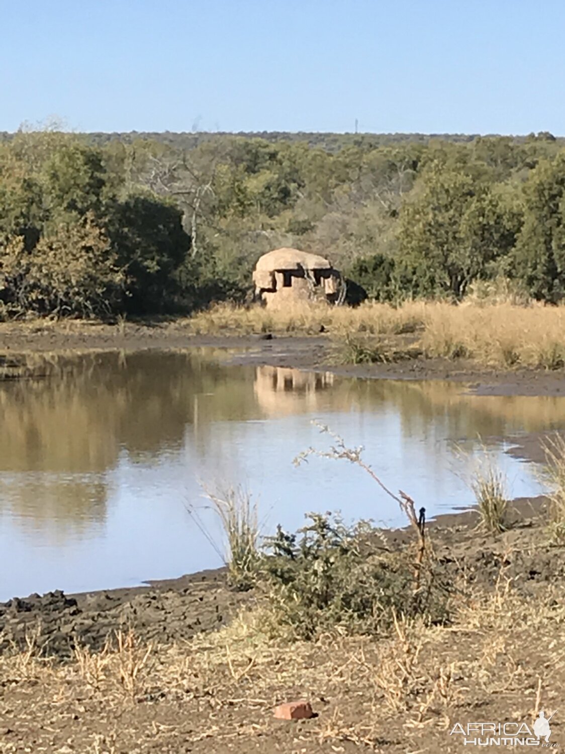 Hunting Blind