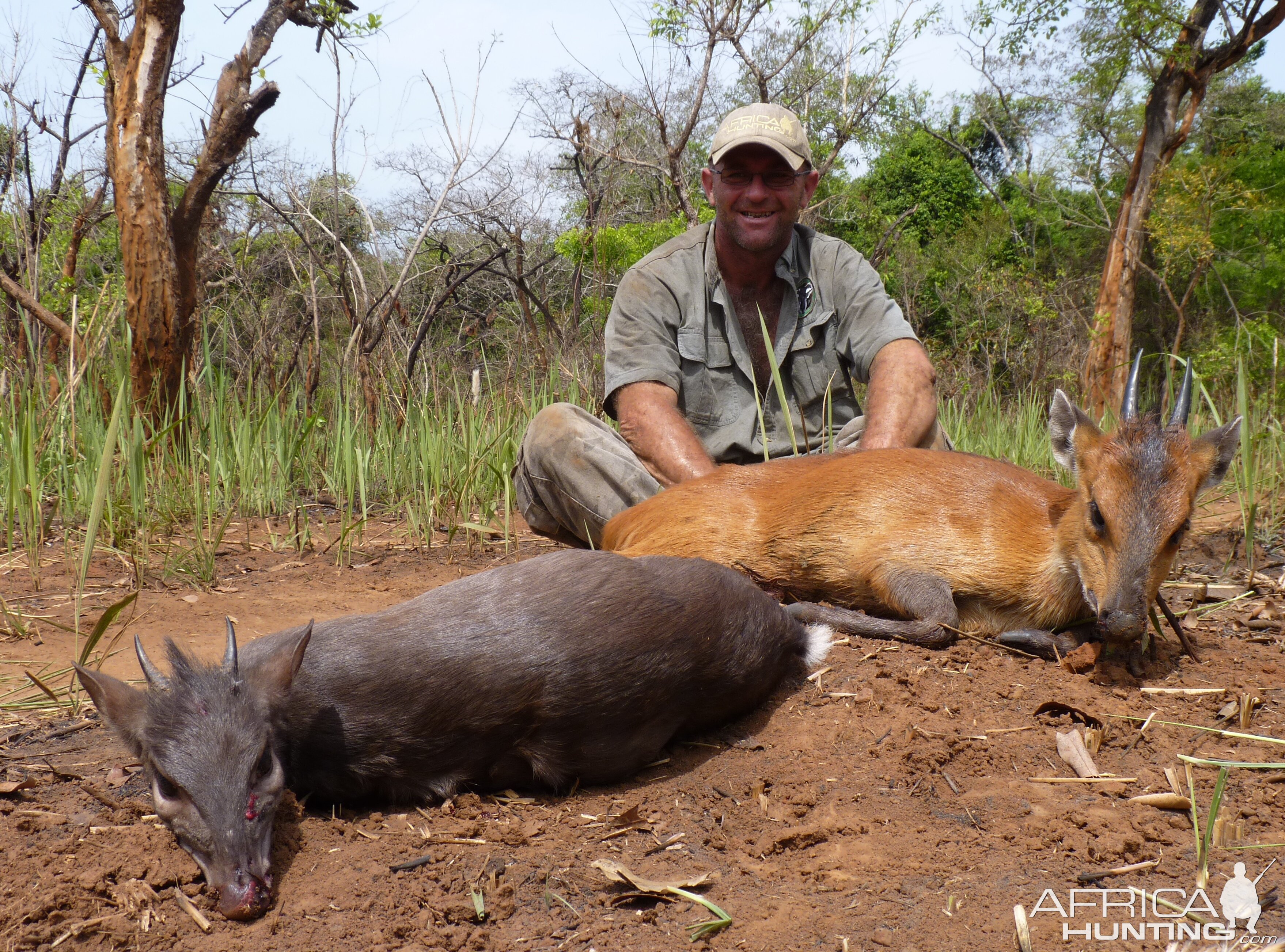 Hunting Blue and Red Flanked Duiker in CAR