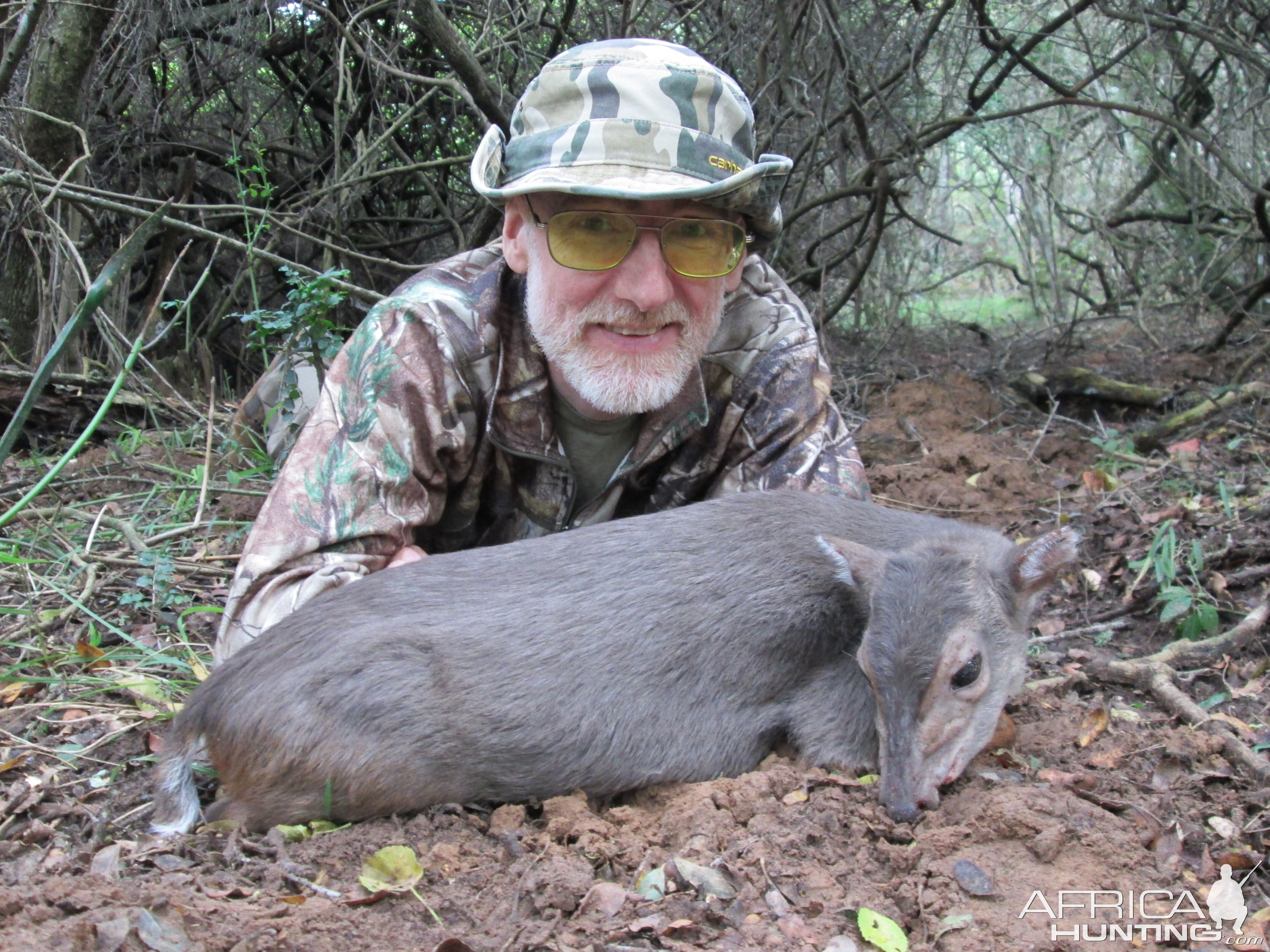 Hunting Blue Duiker in South Africa