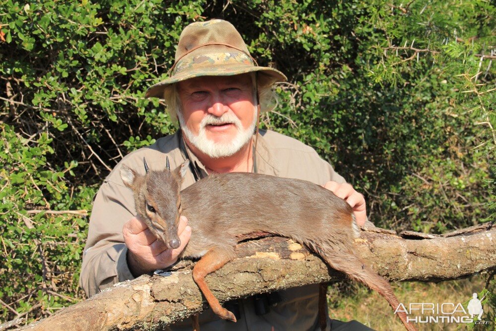 Hunting Blue Duiker in South Africa