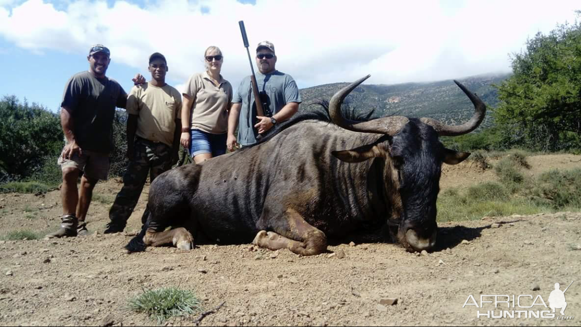 Hunting Blue Wildebeest 3S Safaris