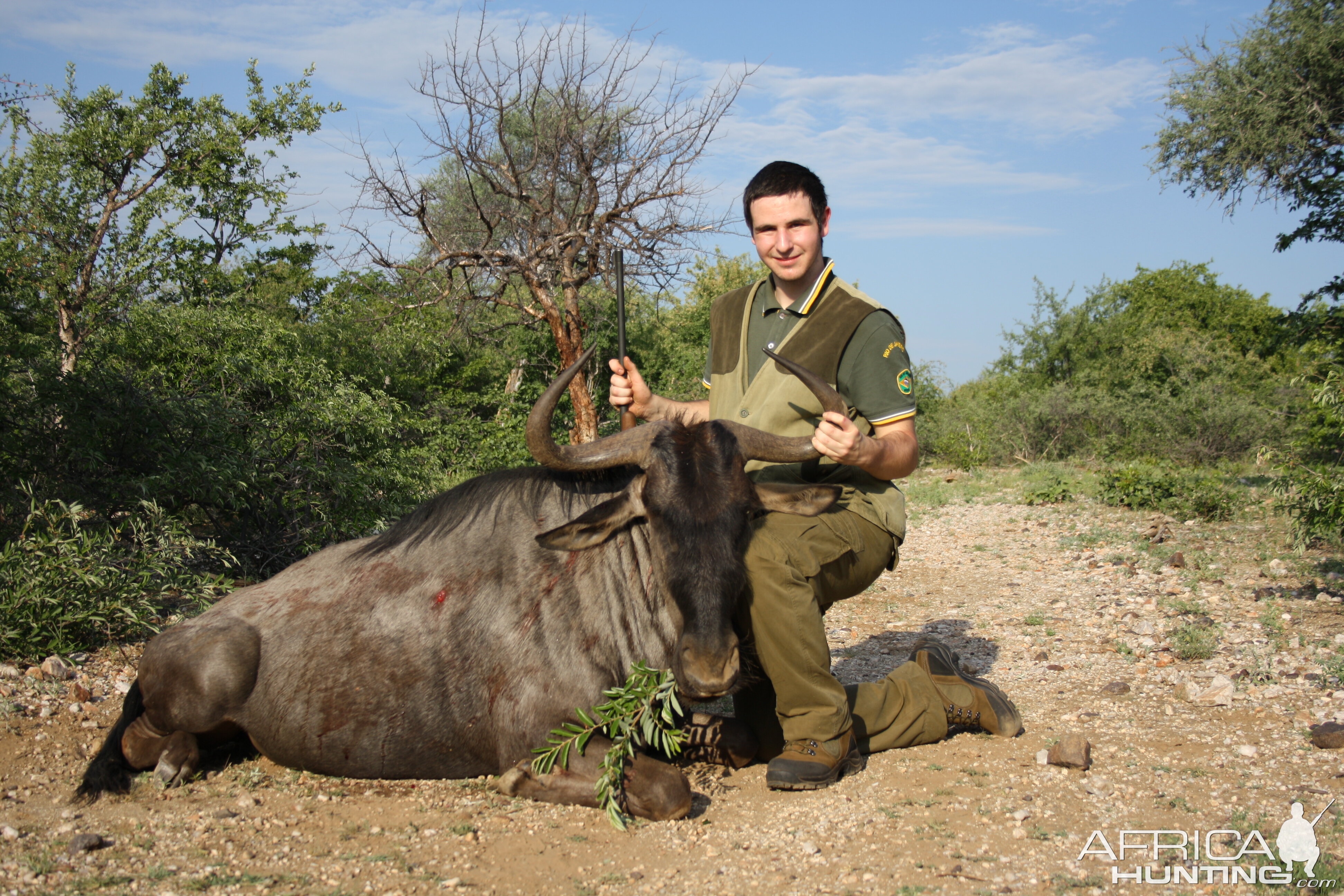 Hunting Blue Wildebeest in Limpopo South Africa