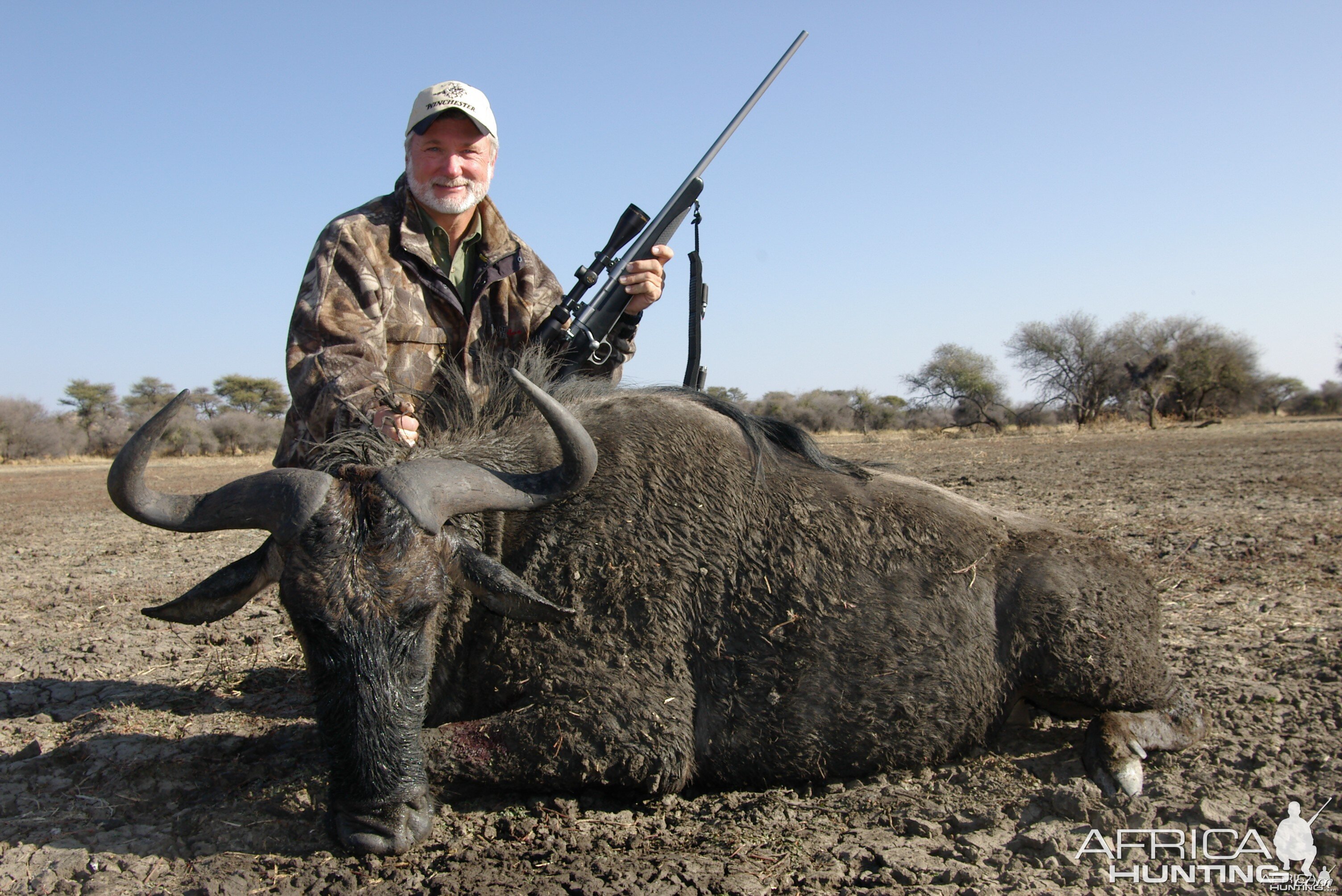 Hunting Blue Wildebeest in Namibia