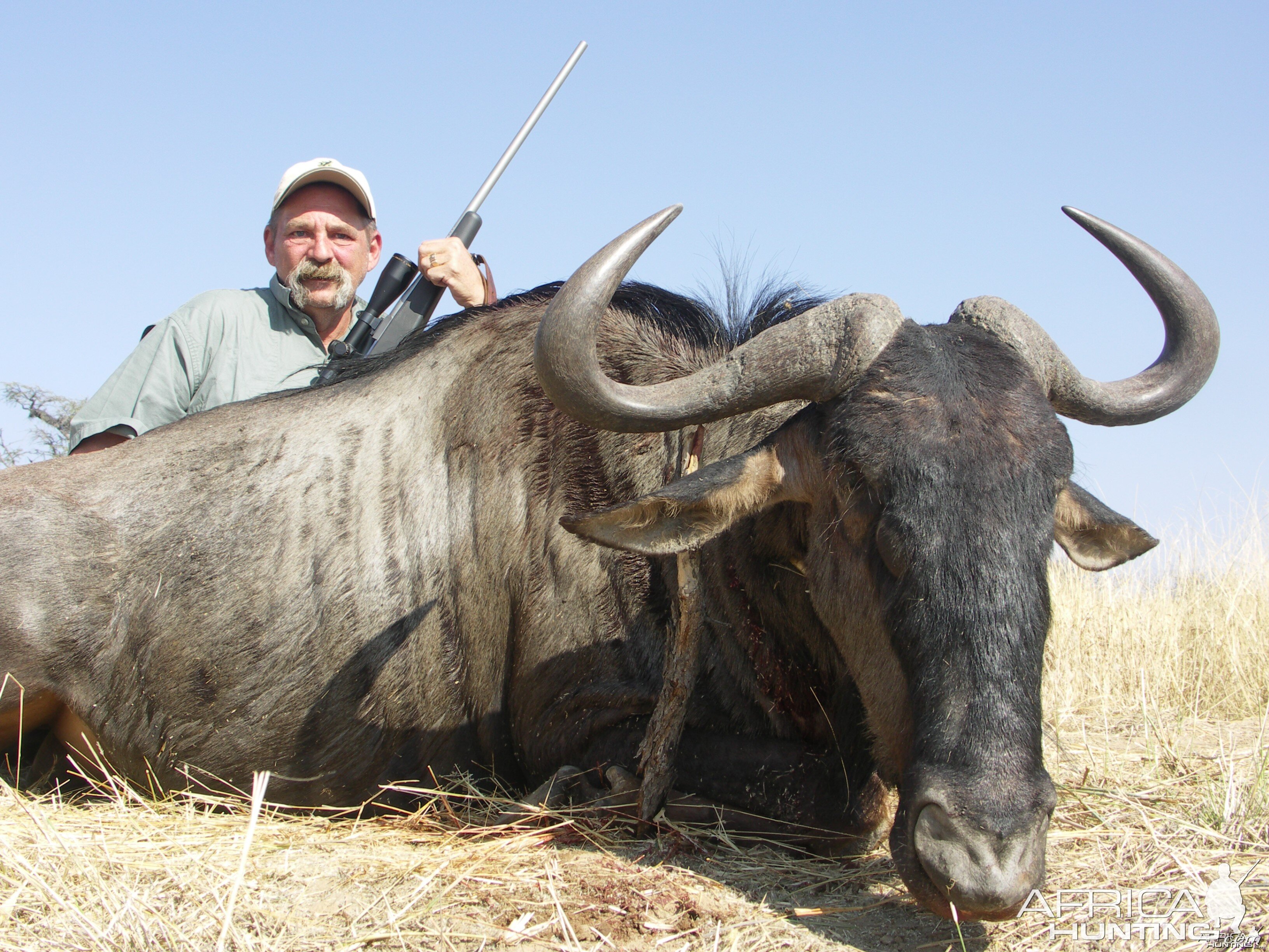 Hunting Blue Wildebeest in Namibia