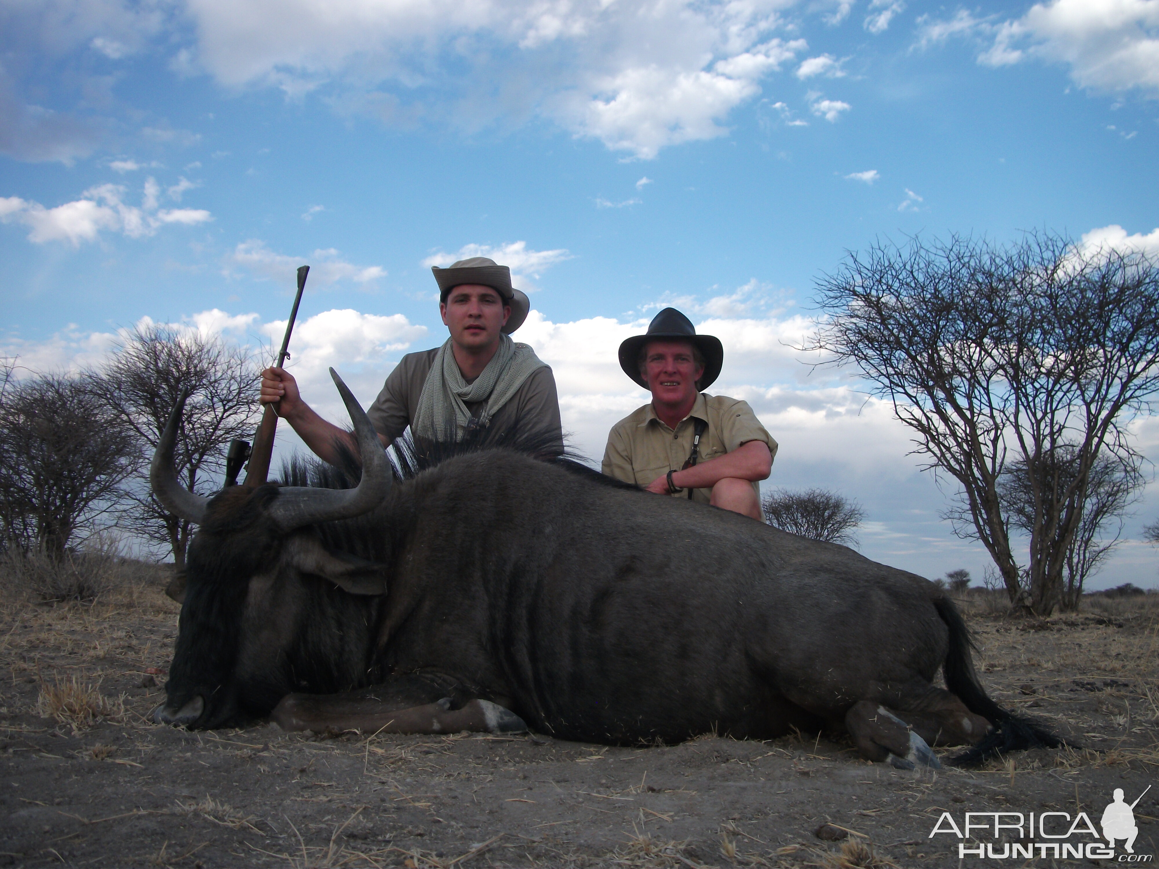 Hunting Blue Wildebeest in Namibia