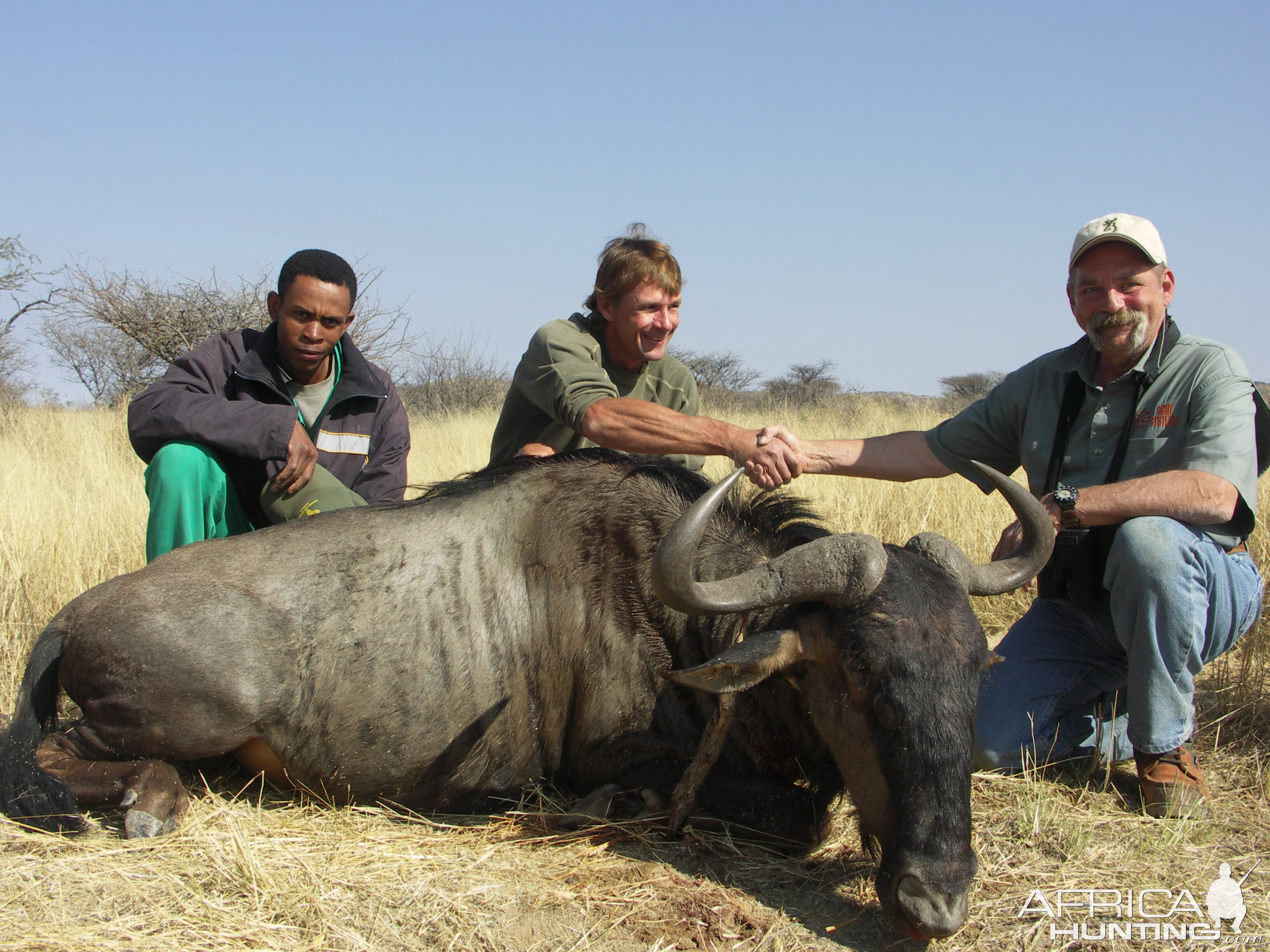 Hunting Blue Wildebeest in Namibia