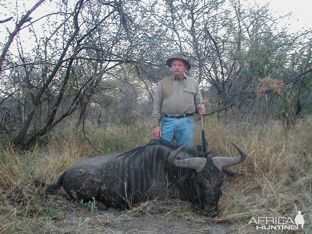 Hunting Blue Wildebeest in Namibia