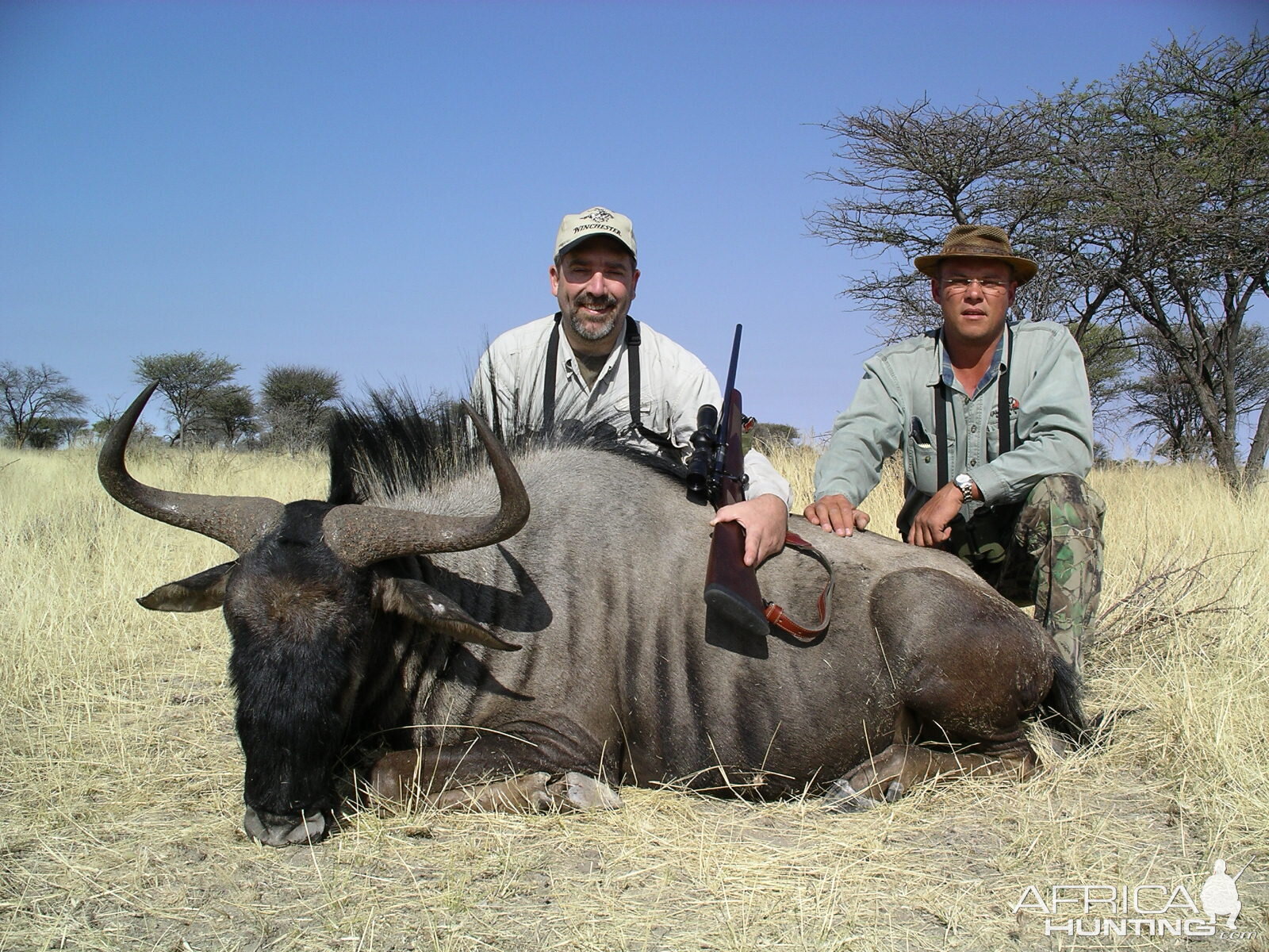 Hunting Blue Wildebeest in Namibia