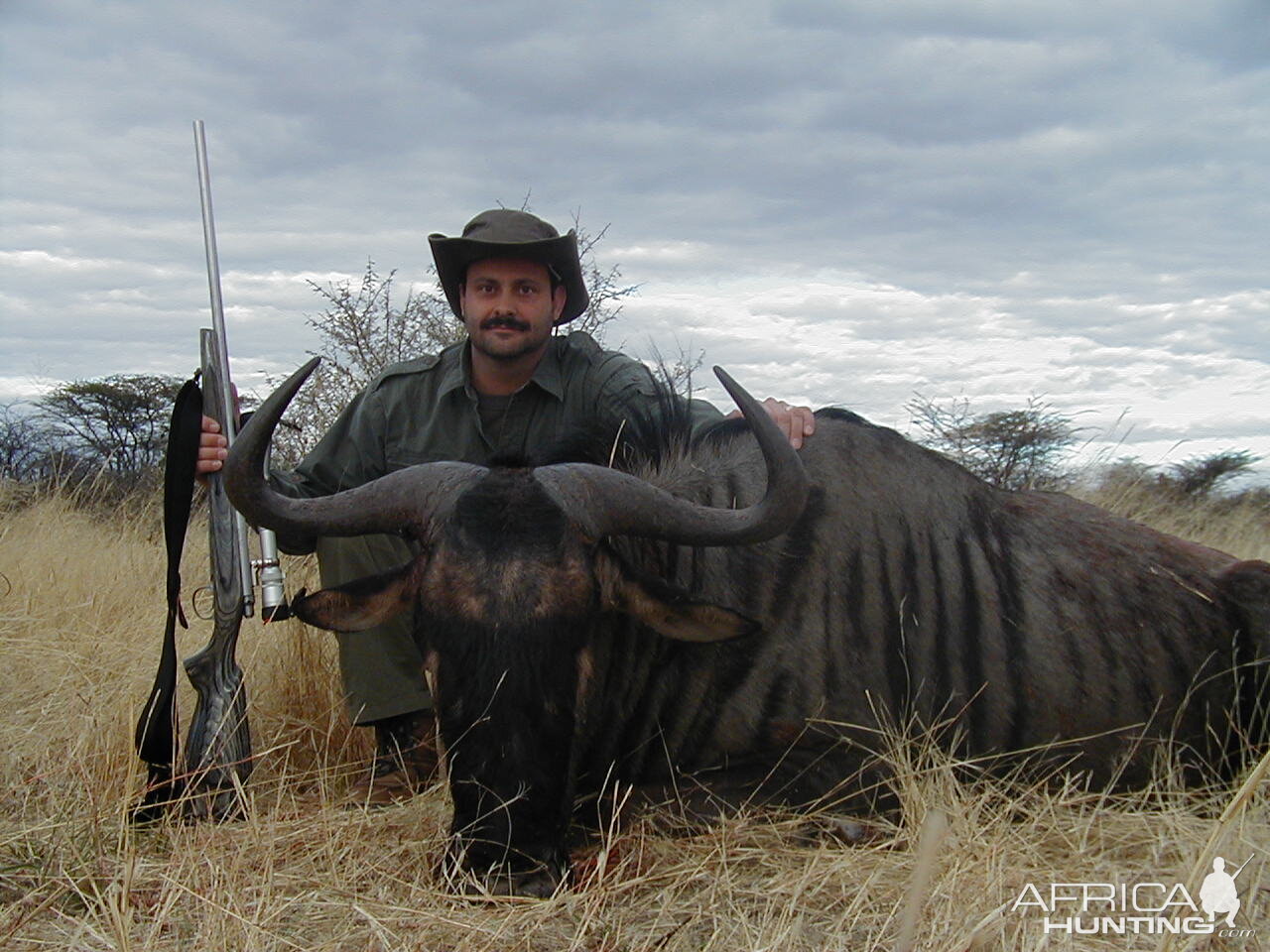 Hunting Blue Wildebeest in Namibia