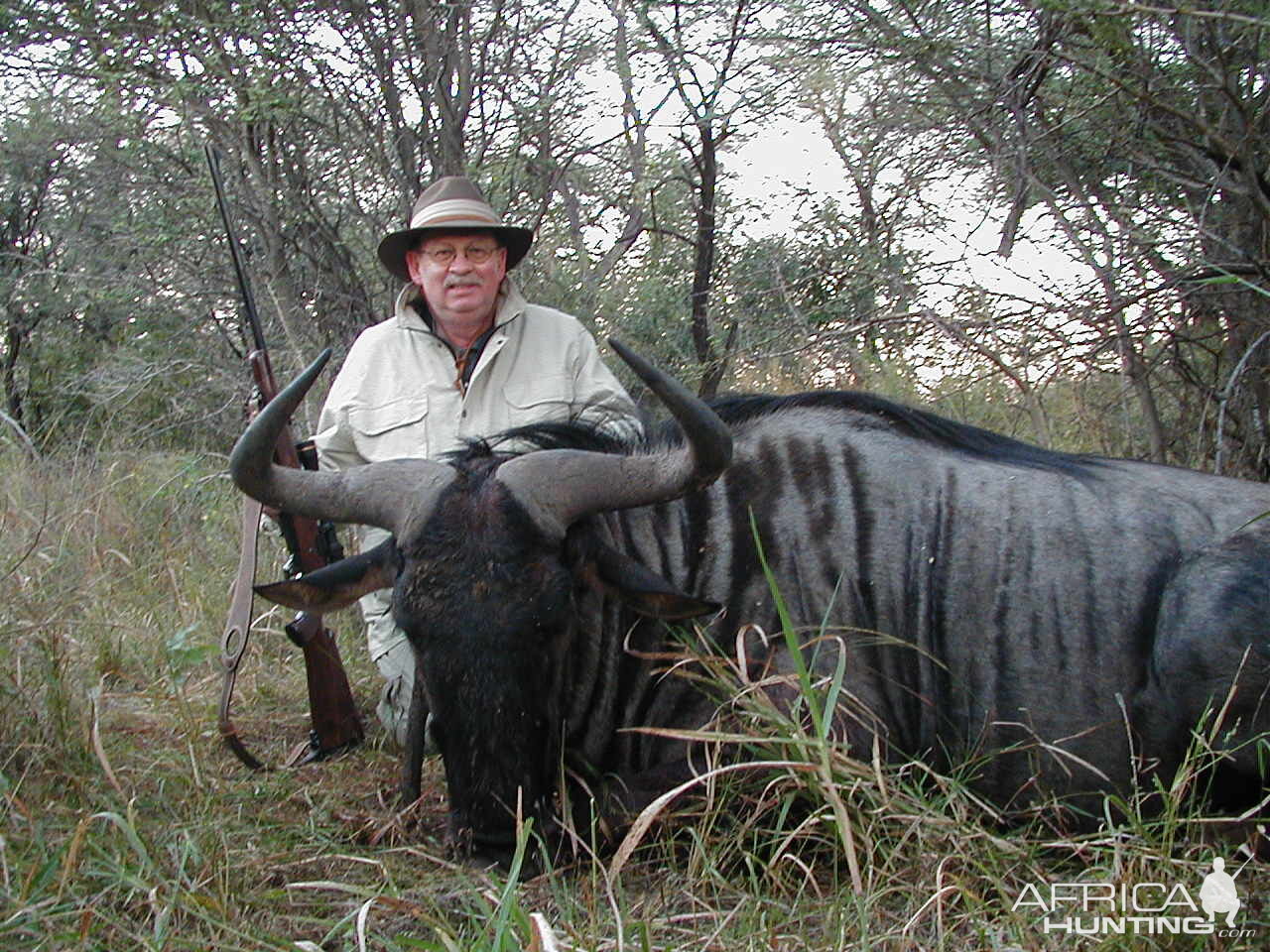 Hunting Blue Wildebeest in Namibia