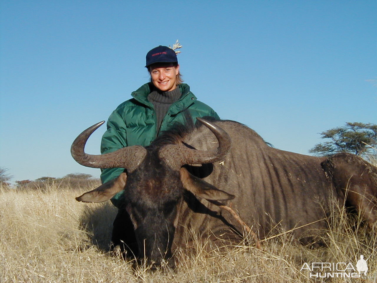 Hunting Blue Wildebeest in Namibia