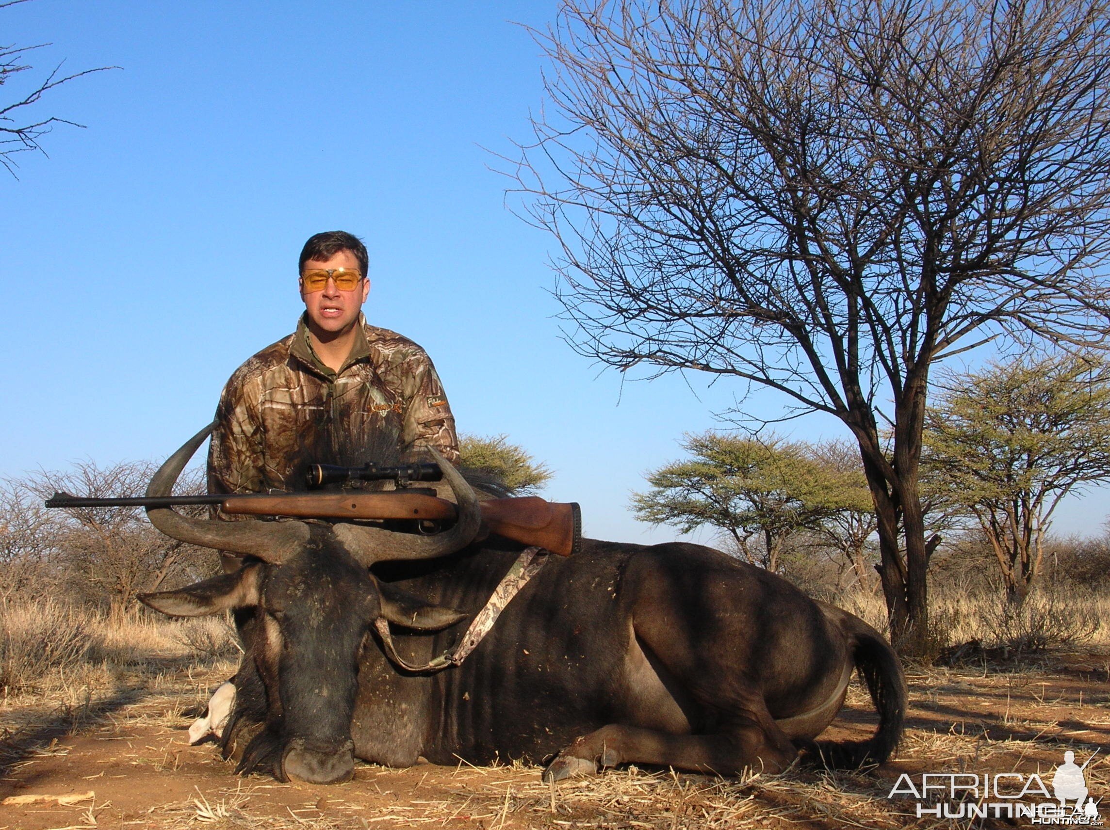 Hunting Blue Wildebeest in Namibia