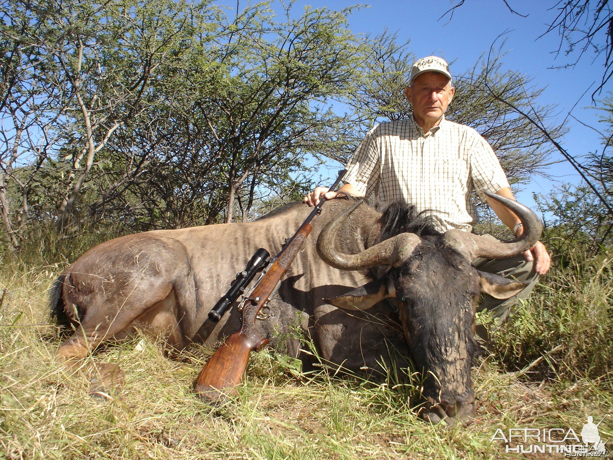 Hunting Blue Wildebeest in Namibia