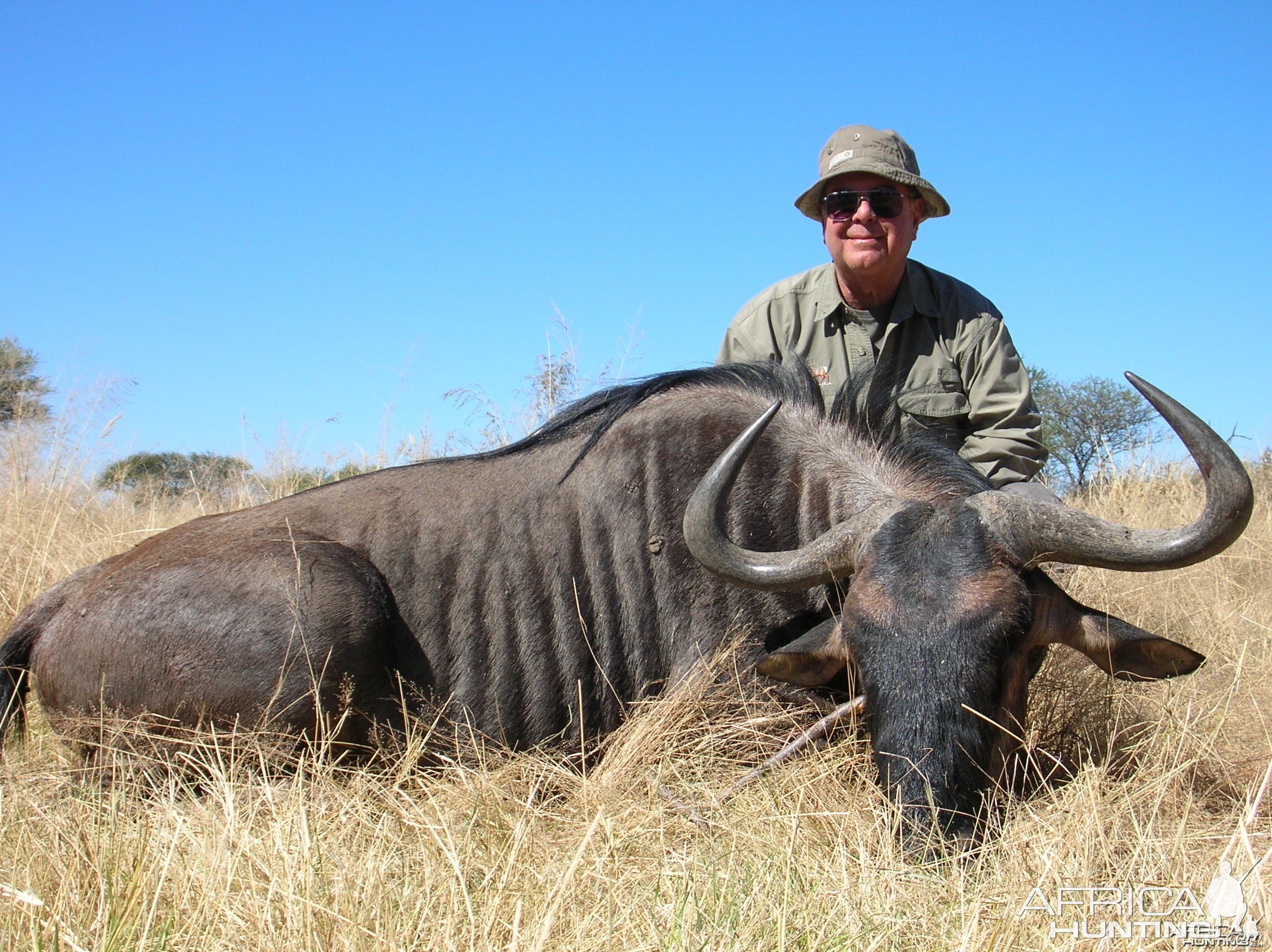 Hunting Blue Wildebeest in Namibia