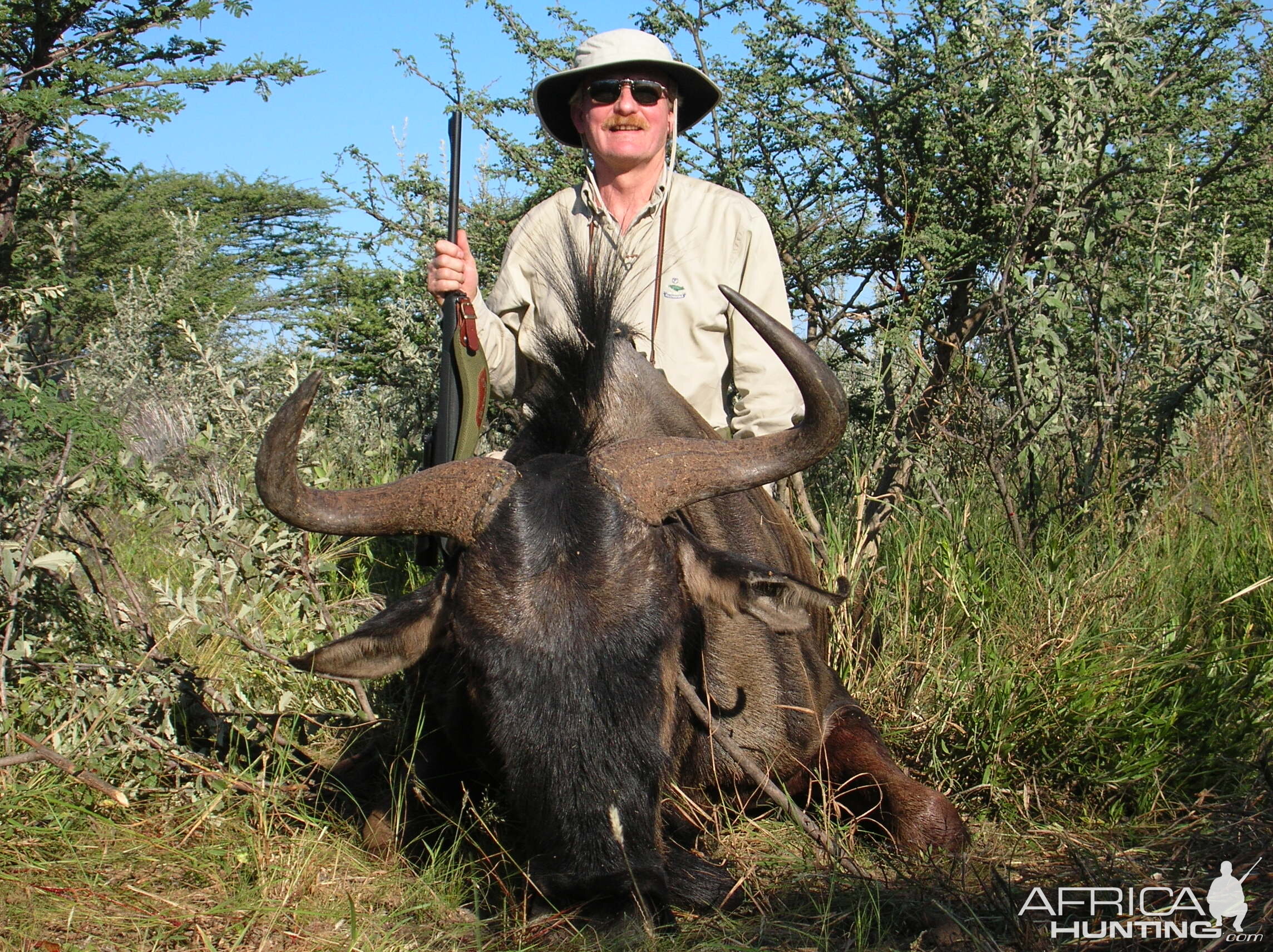 Hunting Blue Wildebeest in Namibia