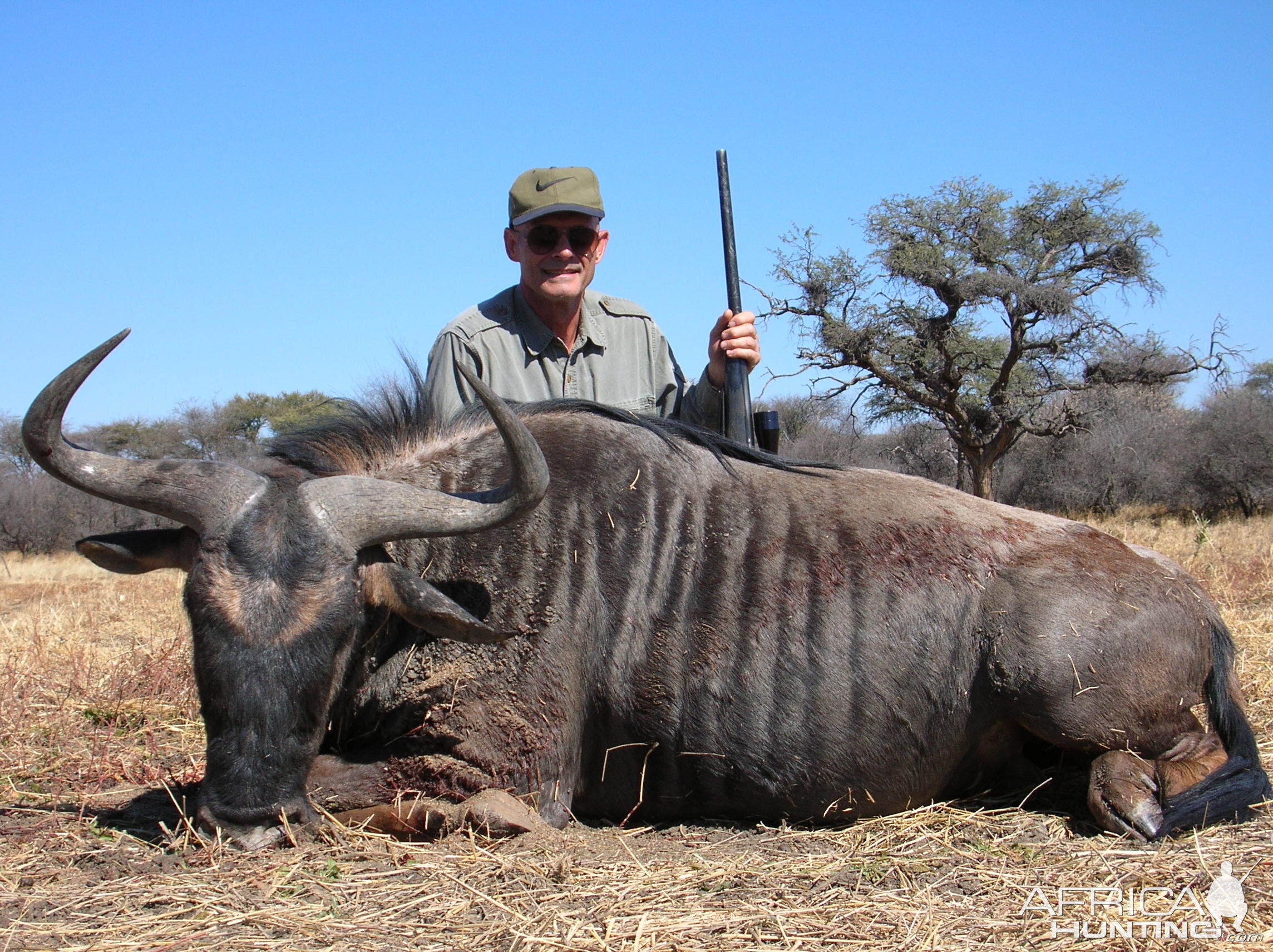 Hunting Blue Wildebeest in Namibia