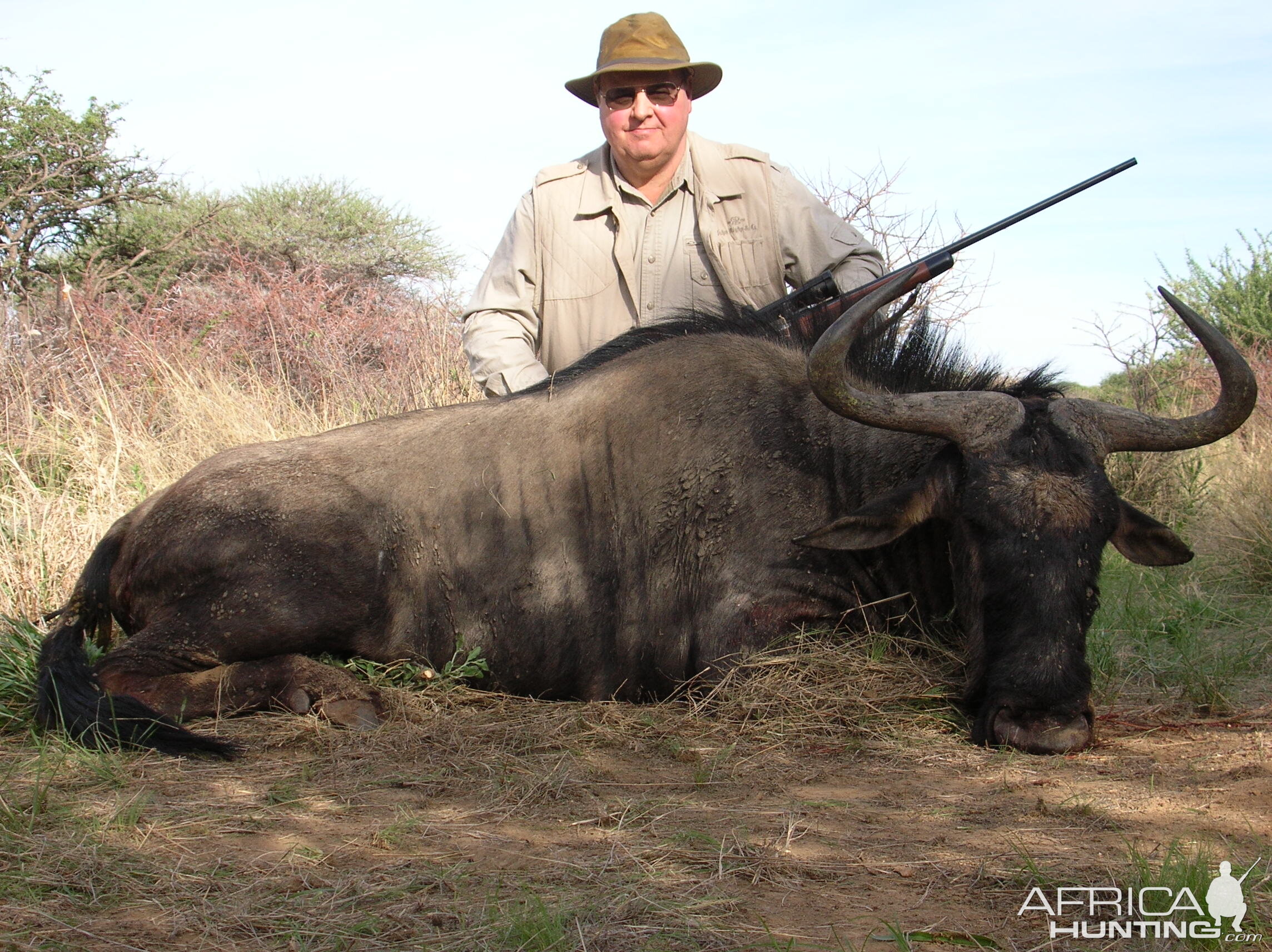 Hunting Blue Wildebeest in Namibia