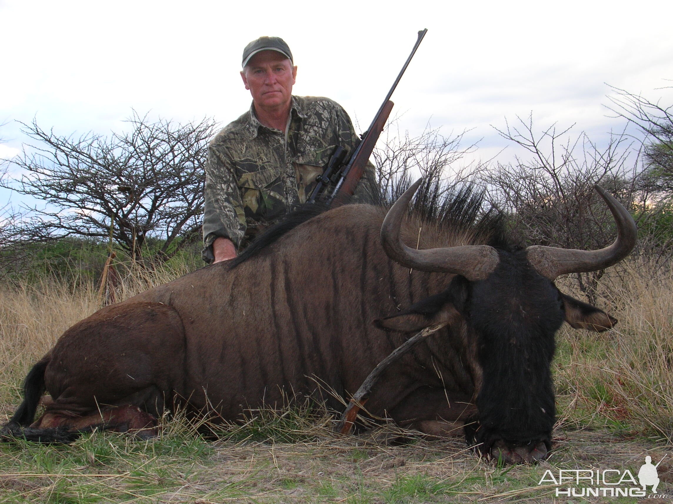 Hunting Blue Wildebeest in Namibia