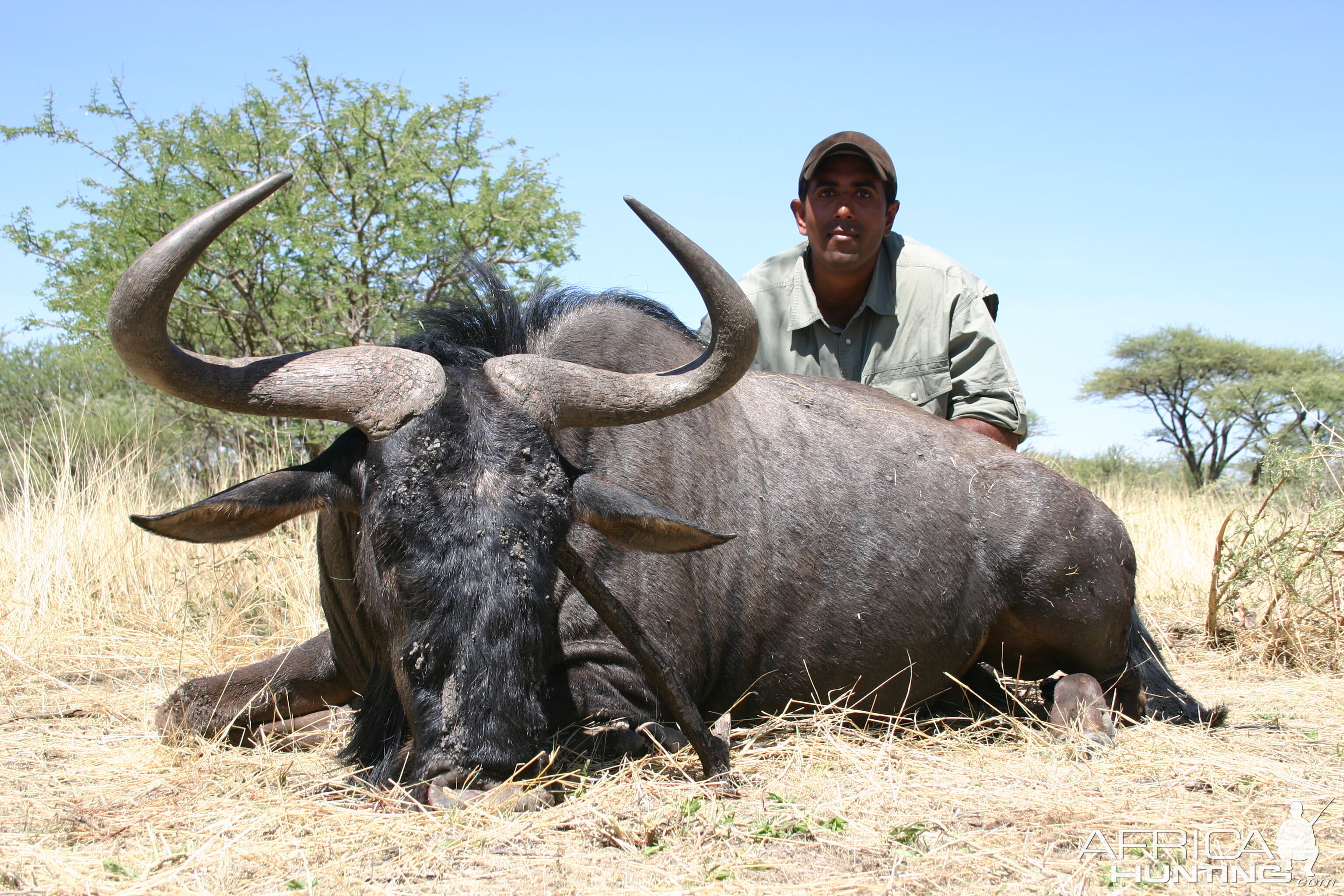 Hunting Blue Wildebeest in Namibia