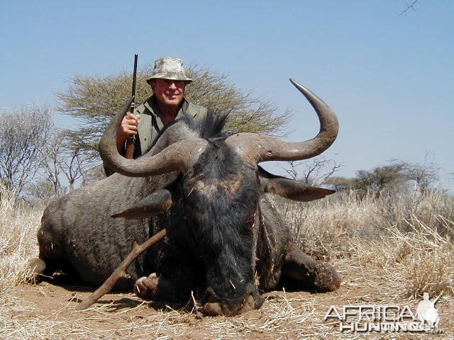 Hunting Blue Wildebeest in Namibia