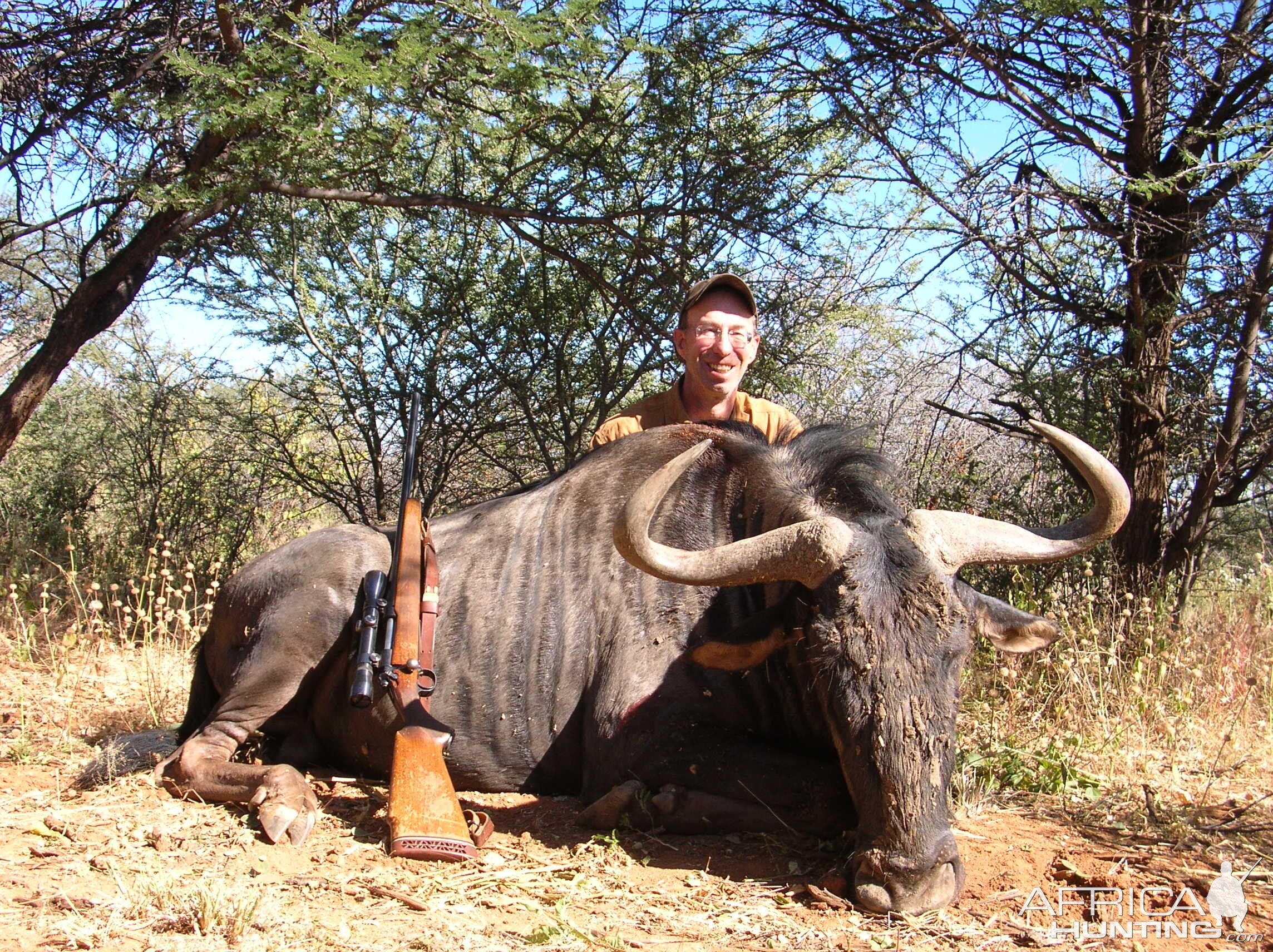 Hunting Blue Wildebeest in Namibia