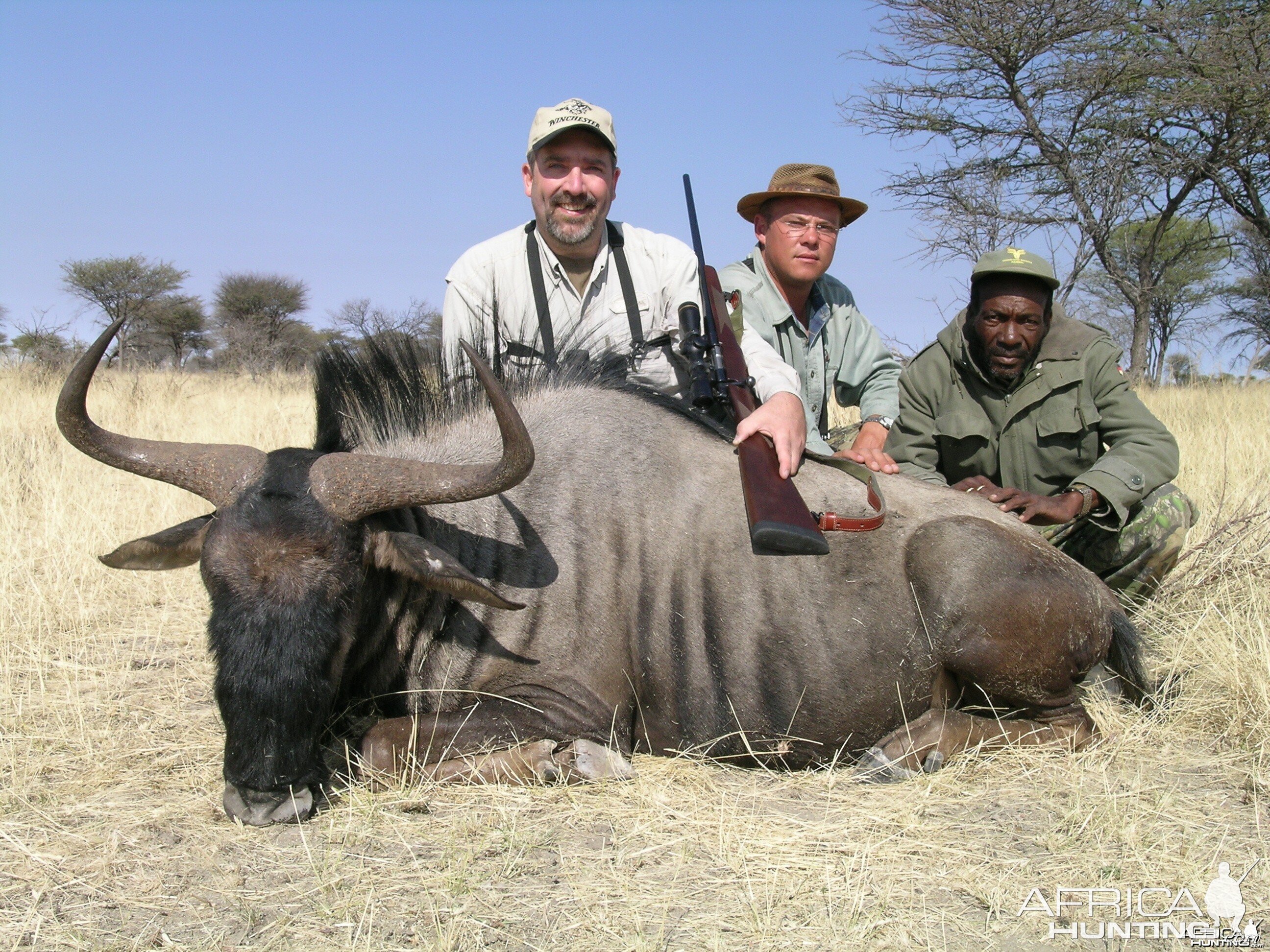 Hunting Blue Wildebeest in Namibia