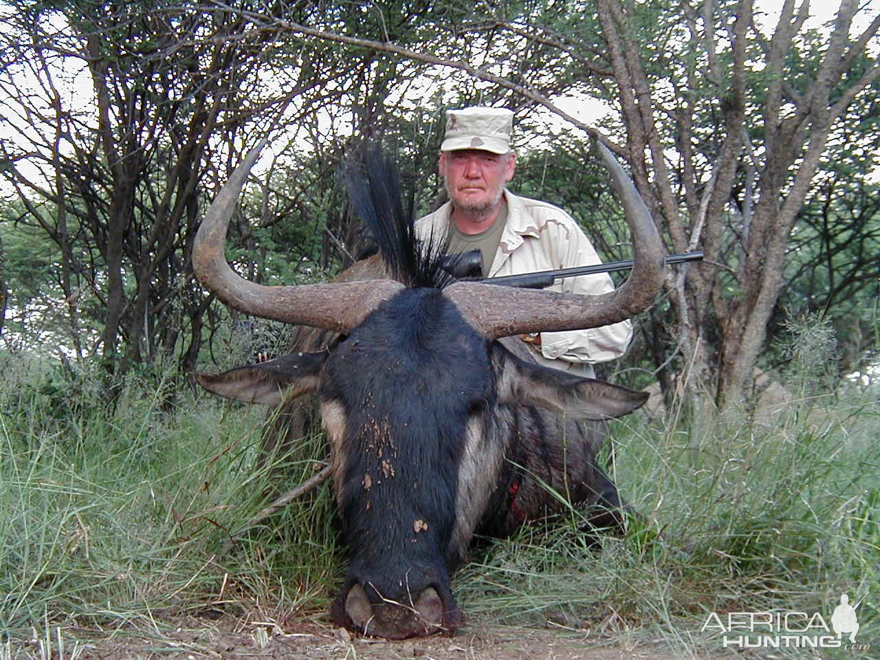 Hunting Blue Wildebeest in Namibia