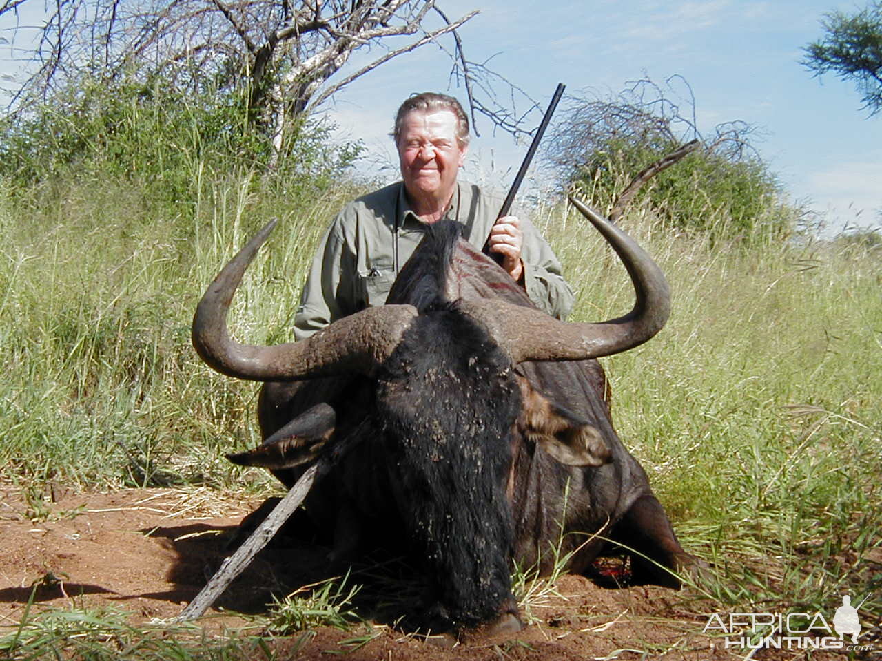 Hunting Blue Wildebeest in Namibia