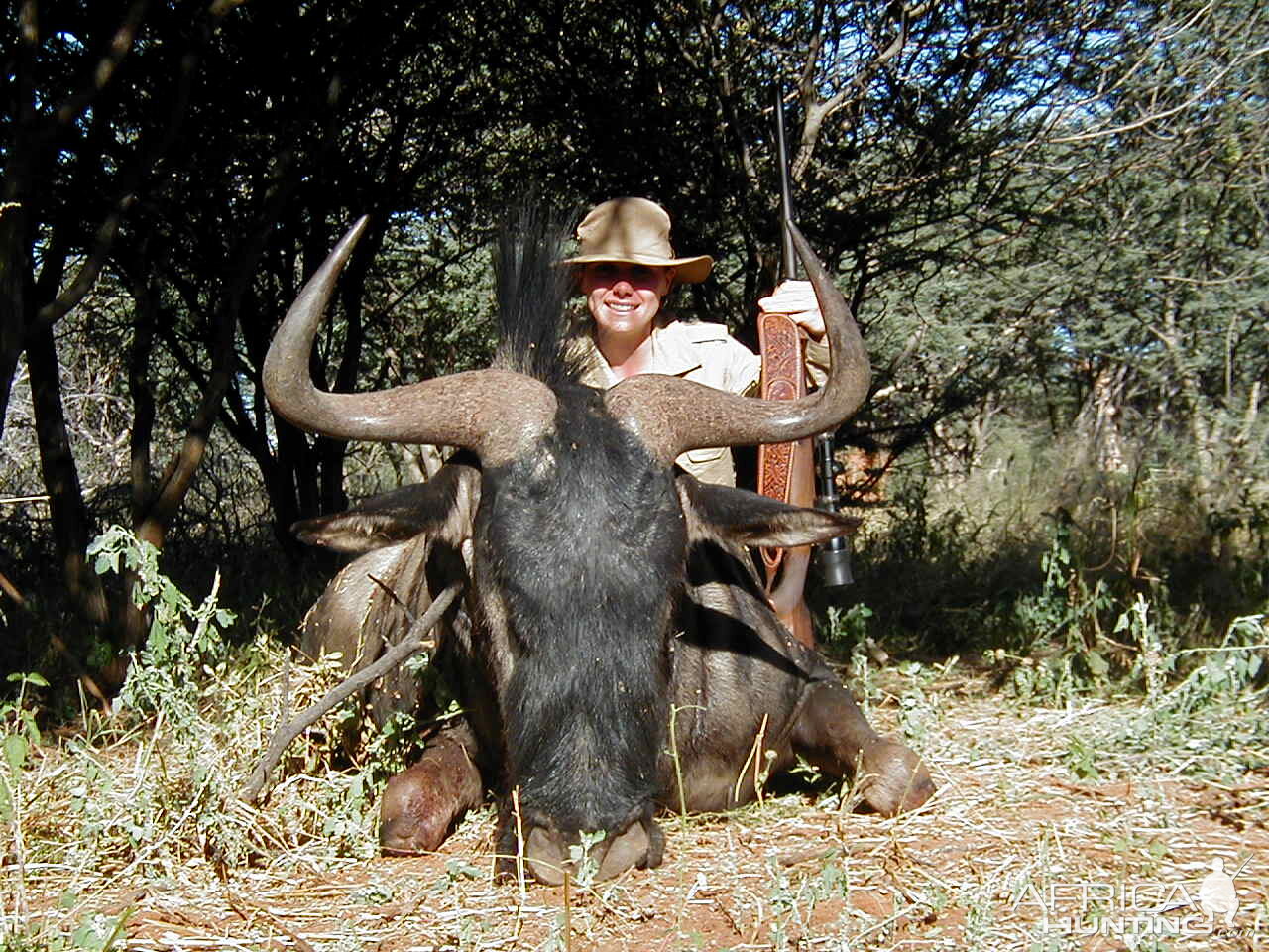 Hunting Blue Wildebeest in Namibia